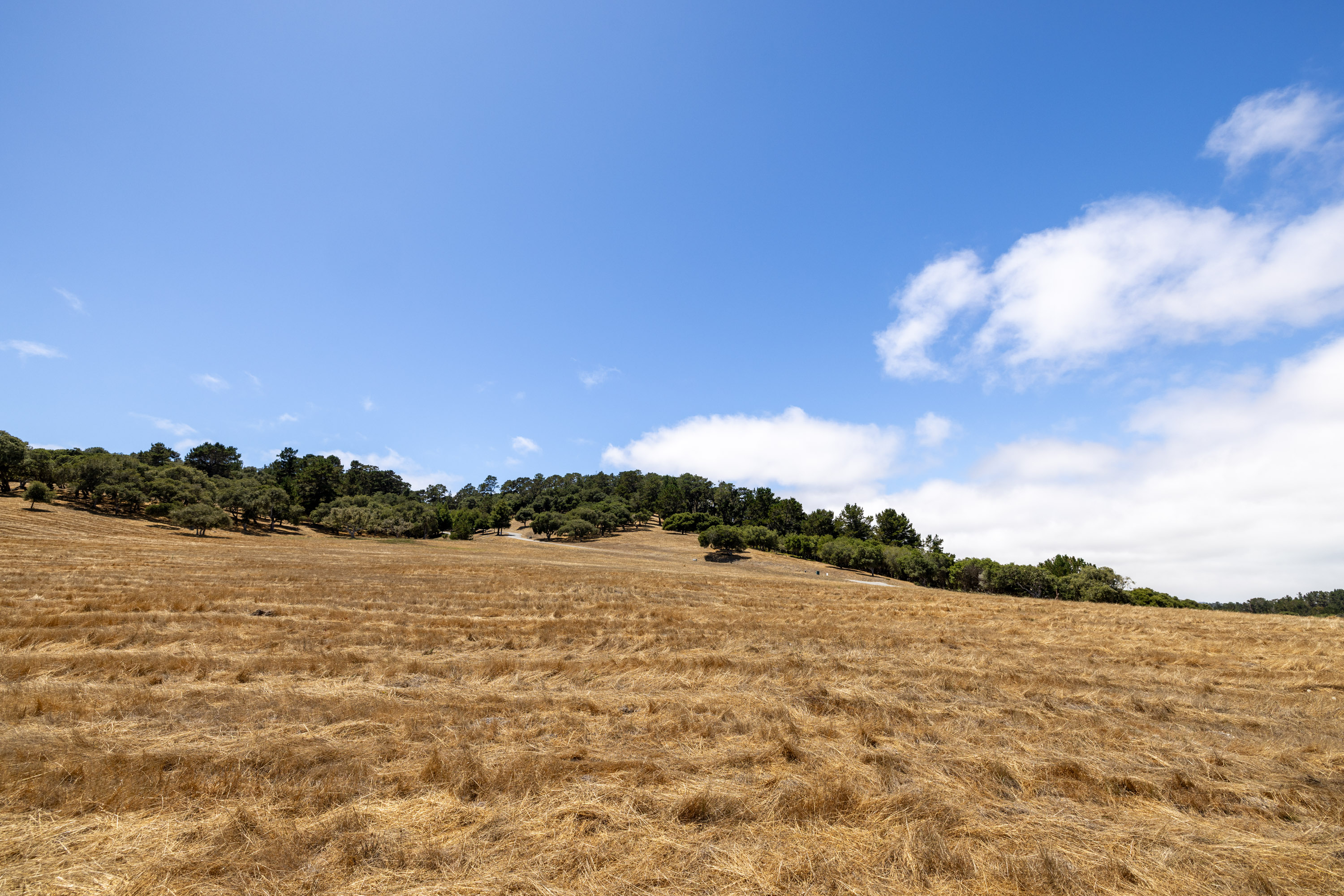 24545 Via Malpaso (Lot 94)