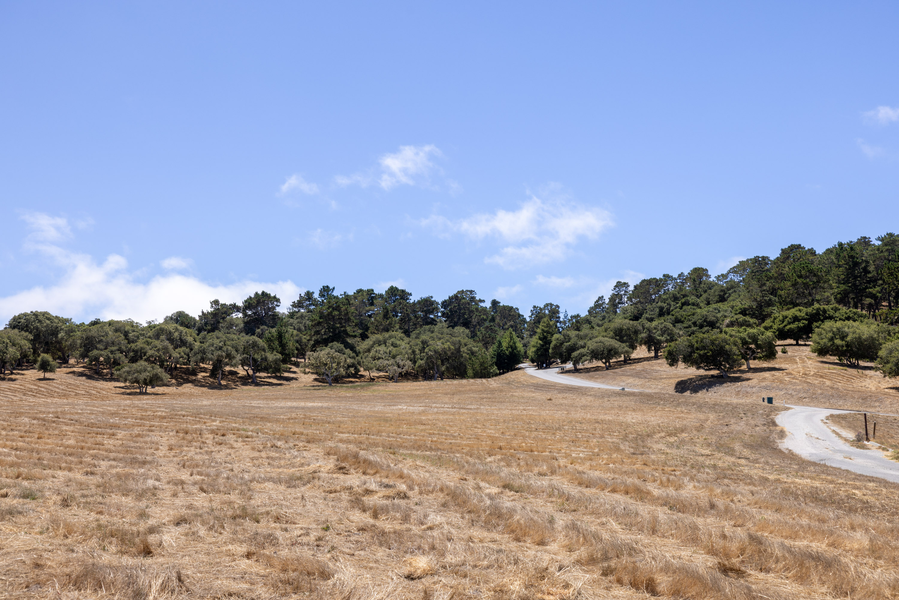 24545 Via Malpaso (Lot 94)