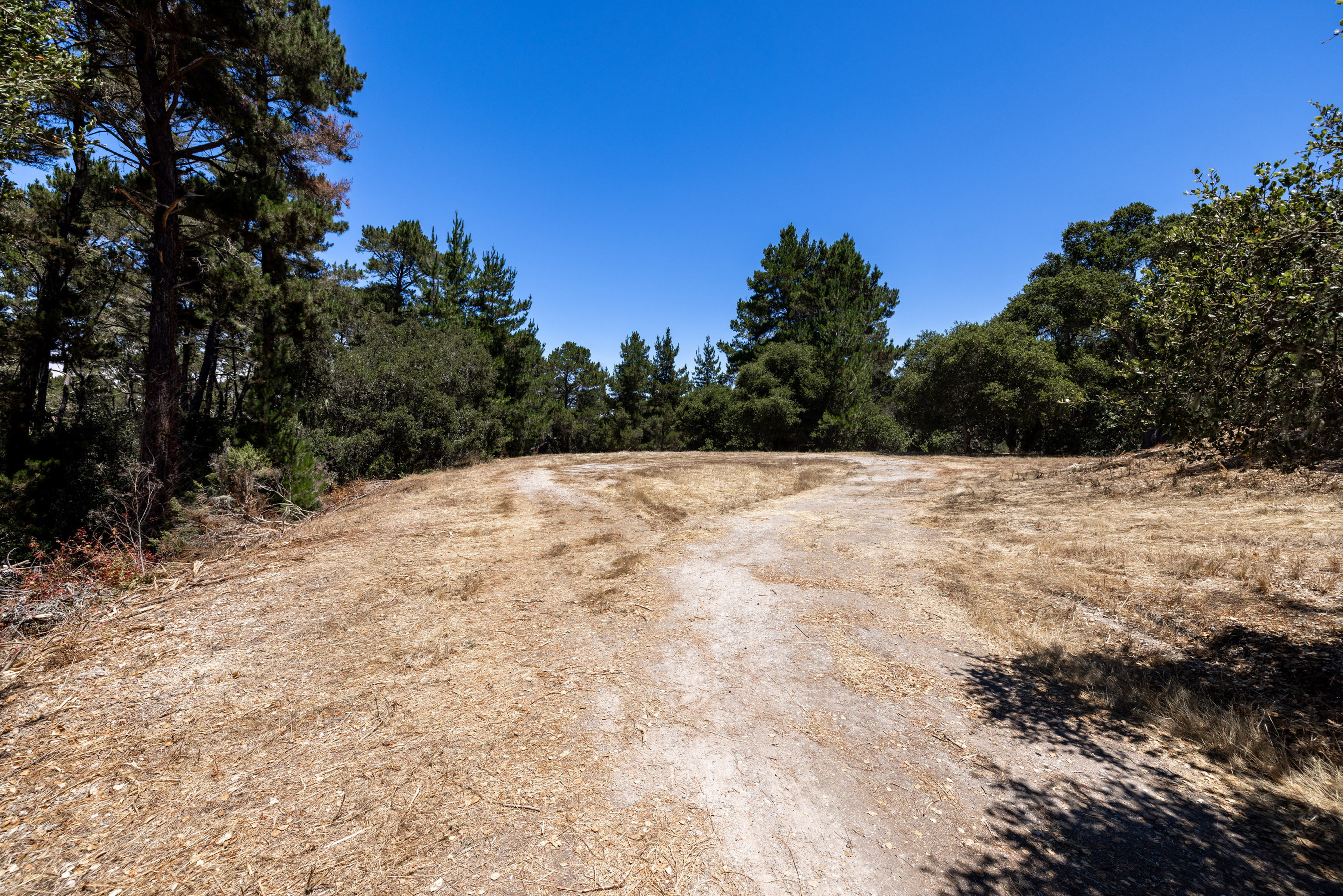 0 Paseo Venado (Lot 116)