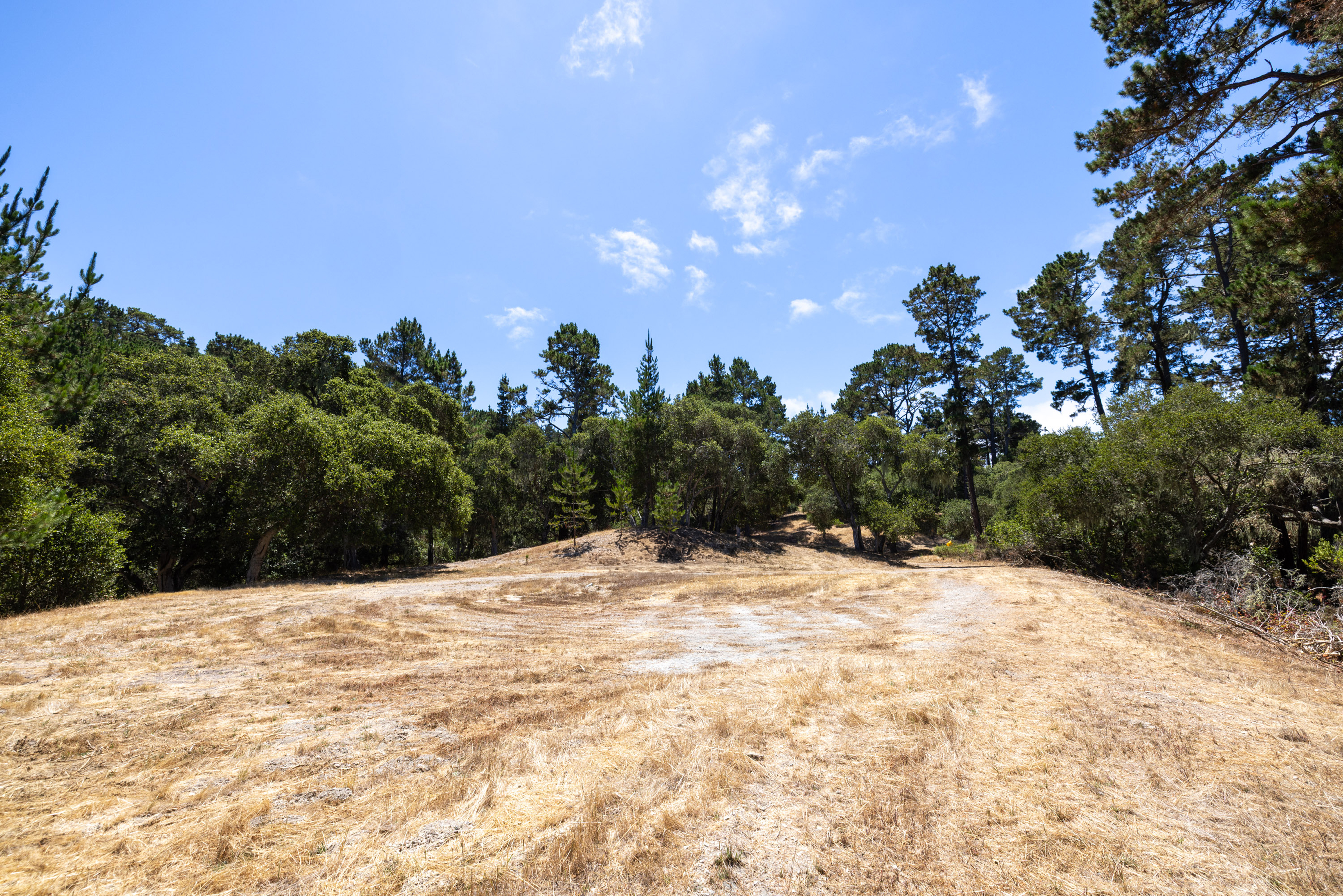 0 Paseo Venado (Lot 116)