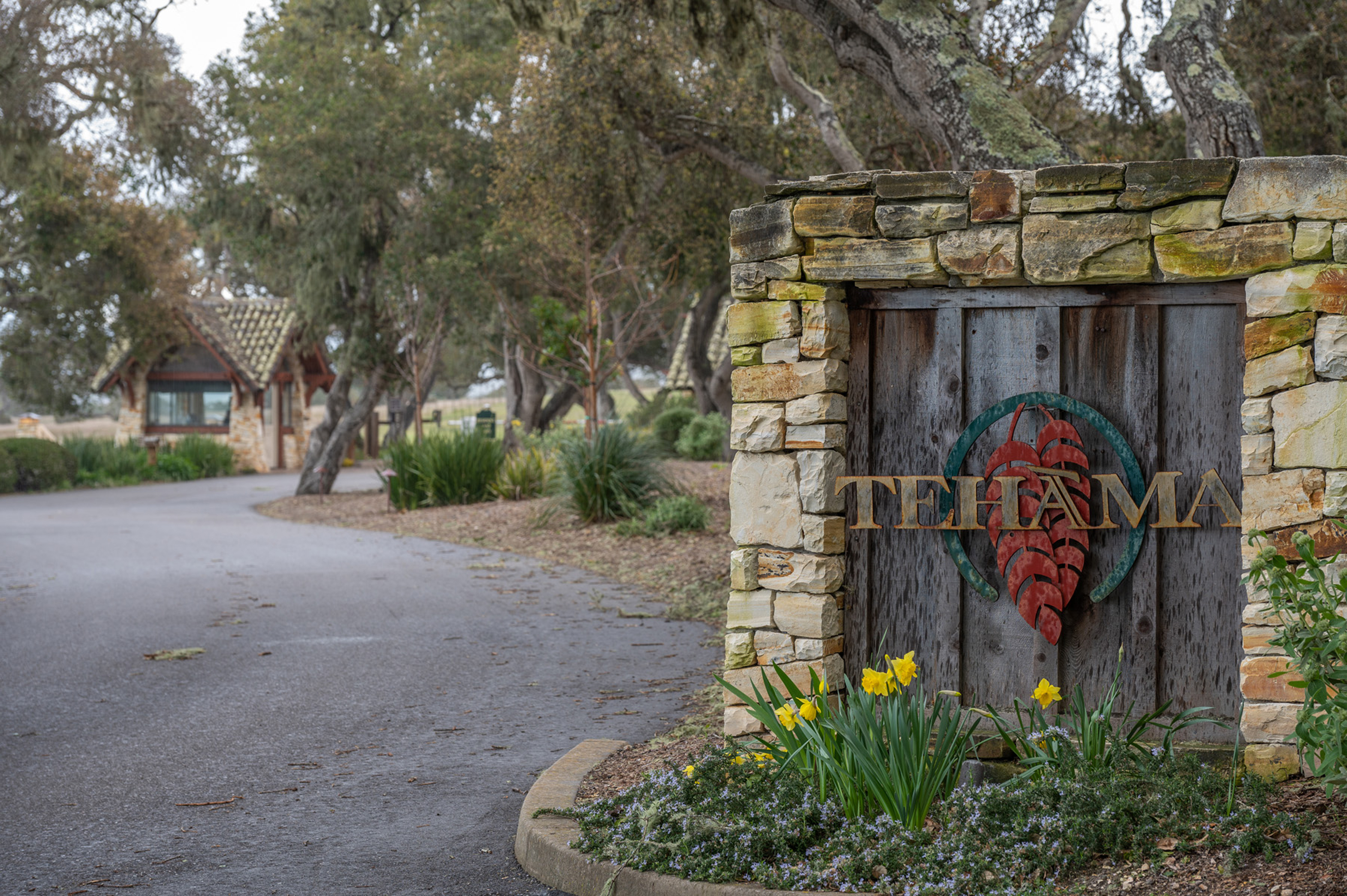 25825 Via Malpaso (Lot 68)