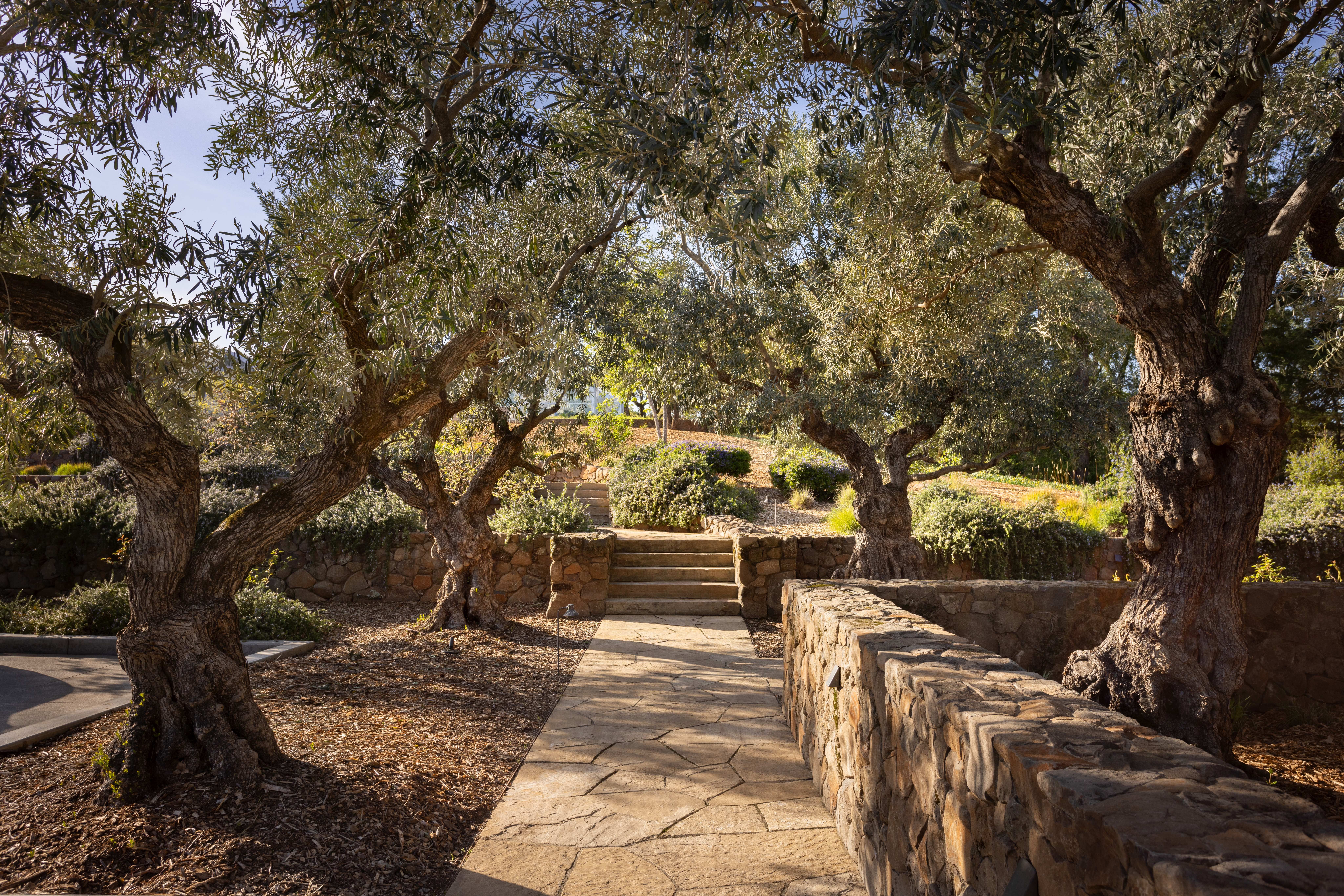 3100 Sonoma Mountain Rd, Sonoma, CA