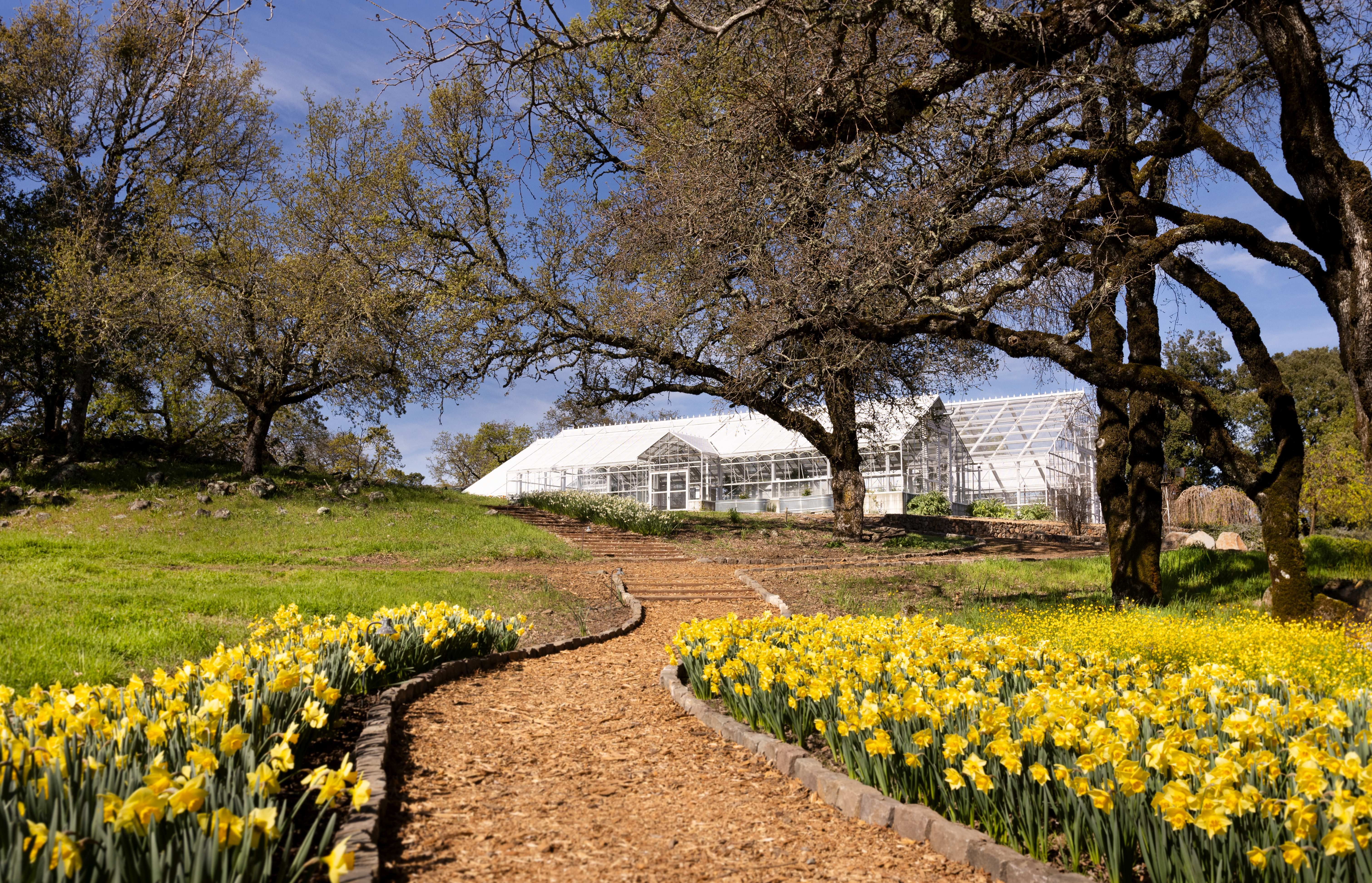 3100 Sonoma Mountain Rd, Sonoma, CA