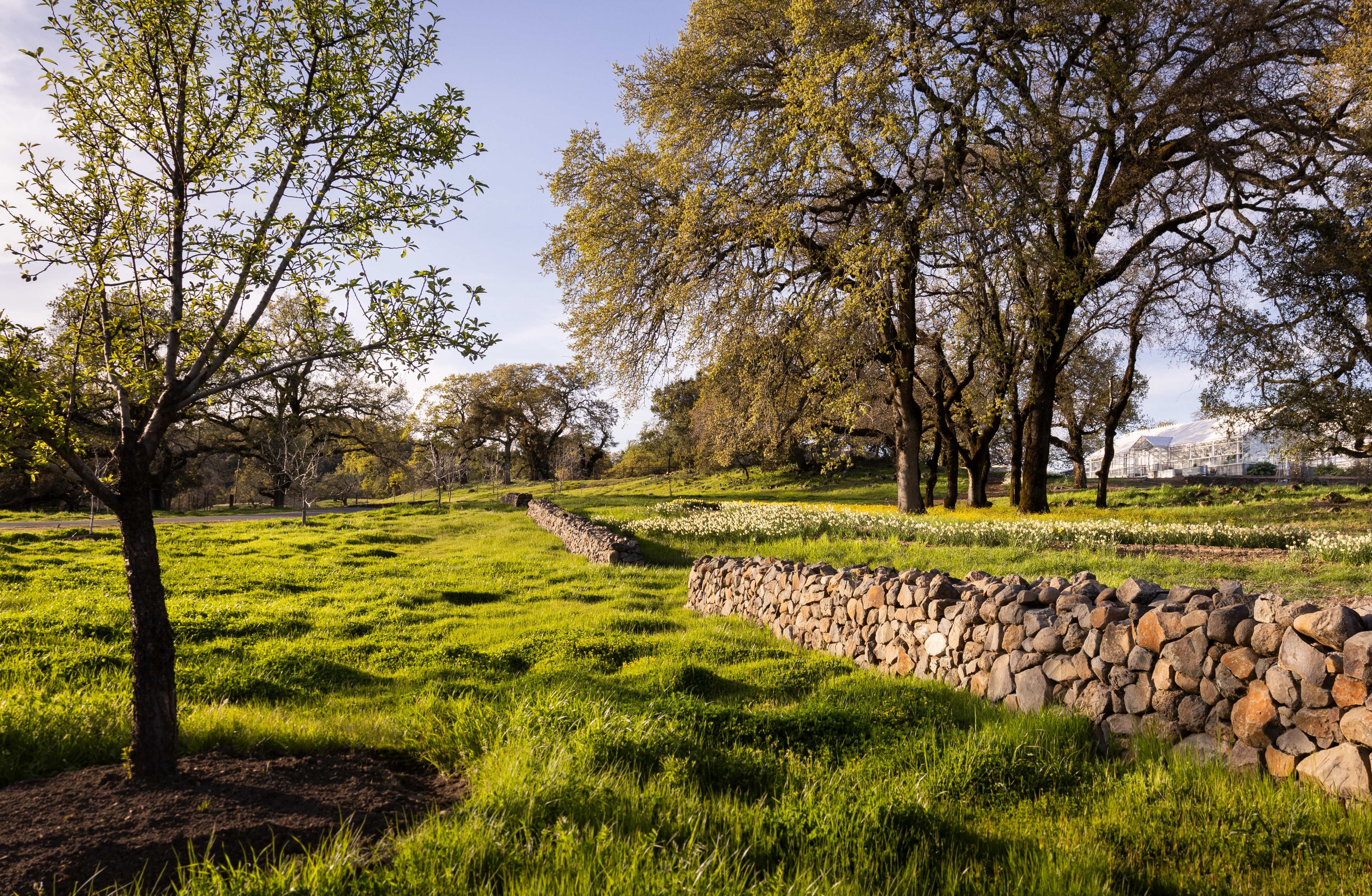 3100 Sonoma Mountain Rd, Sonoma, CA