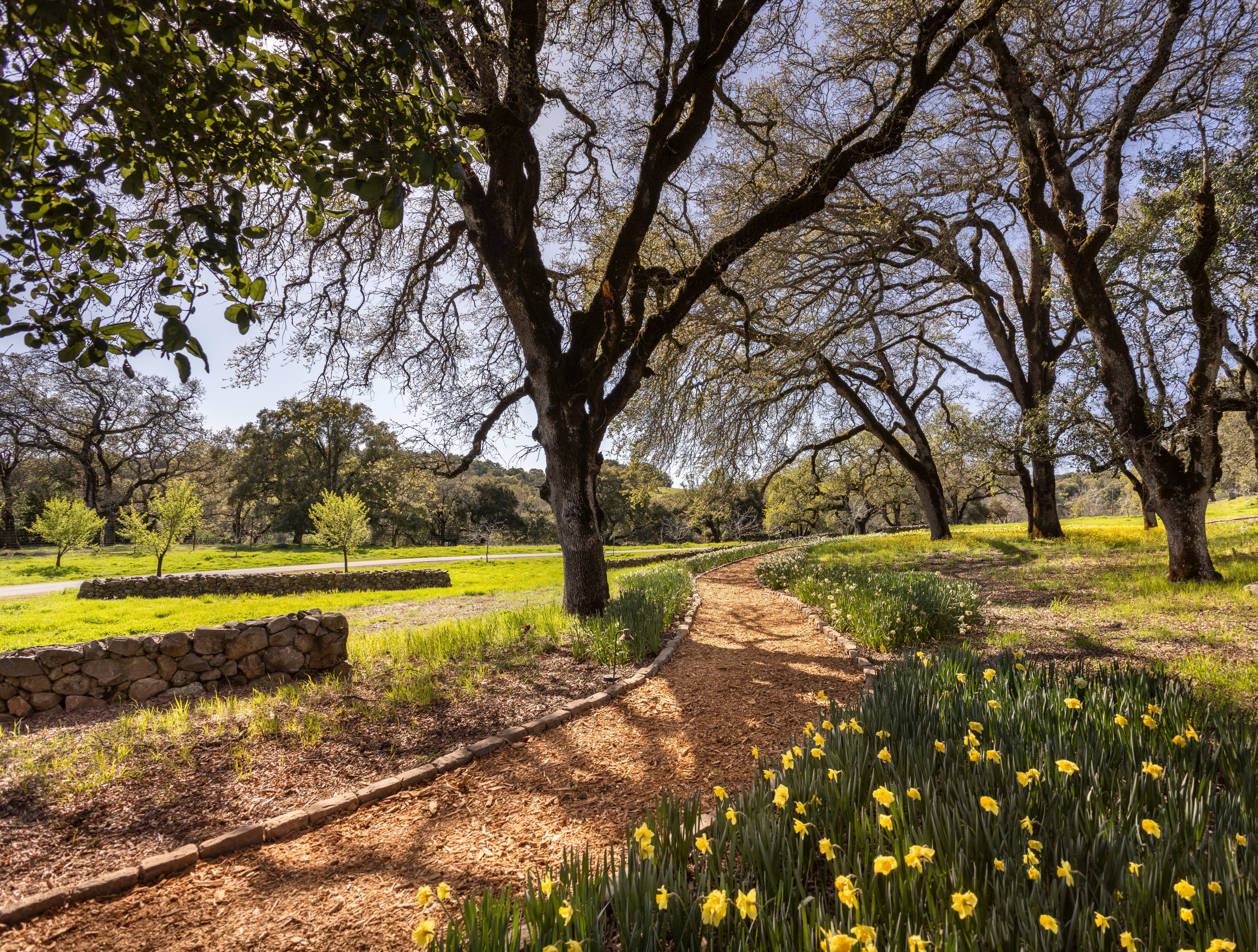 3100 Sonoma Mountain Rd, Sonoma, CA