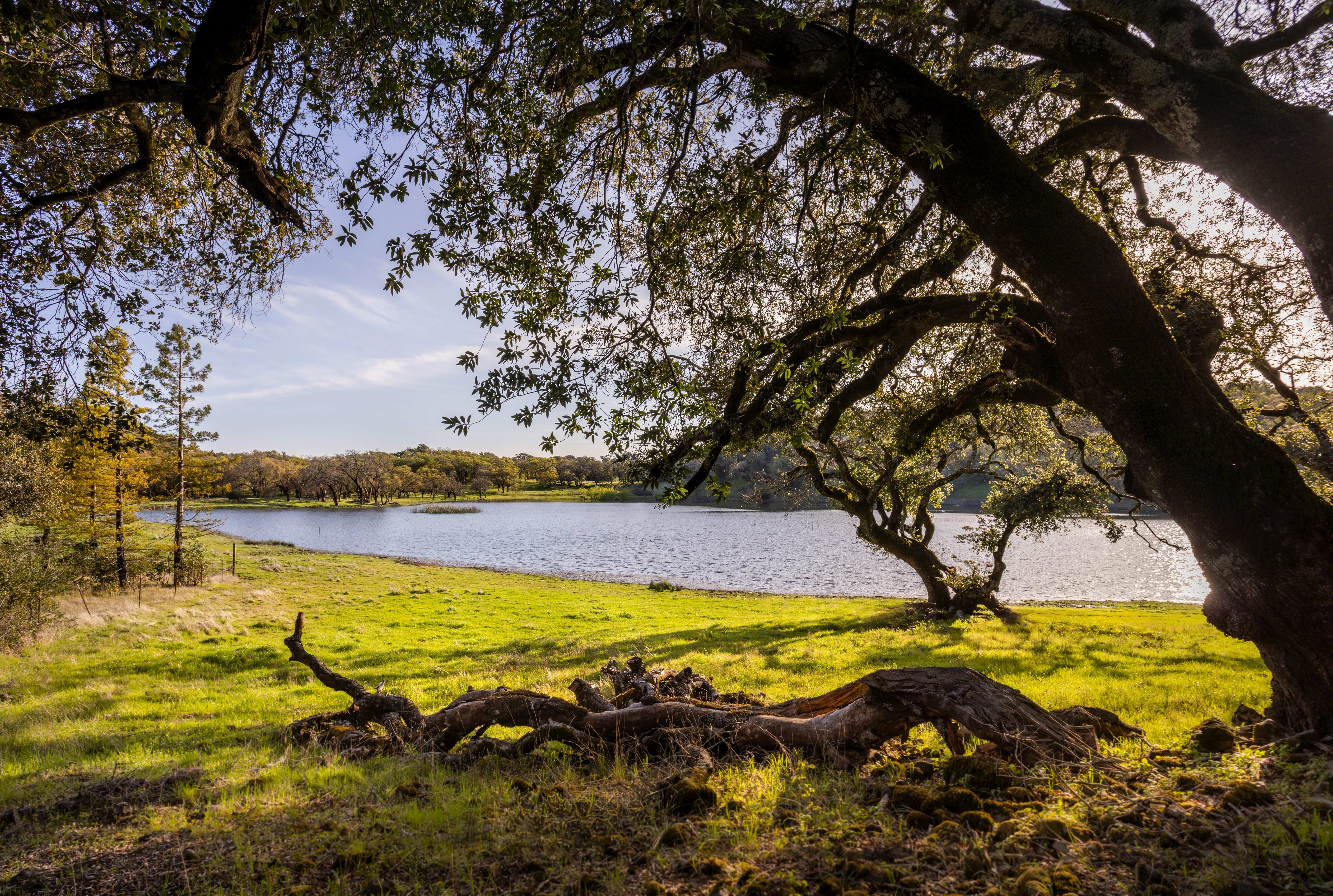 3100 Sonoma Mountain Rd, Sonoma, CA