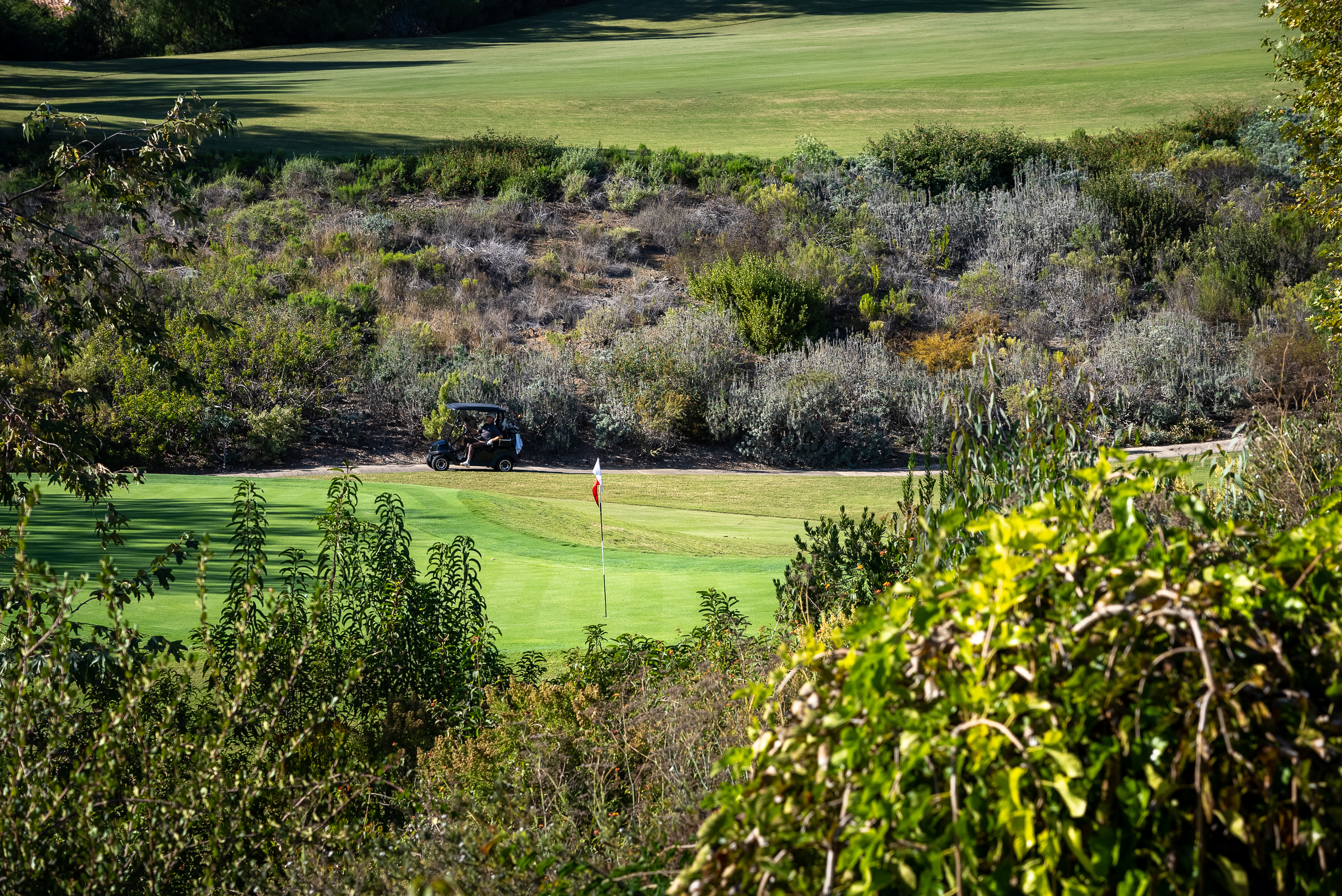 6351 Calle Ponte Bella