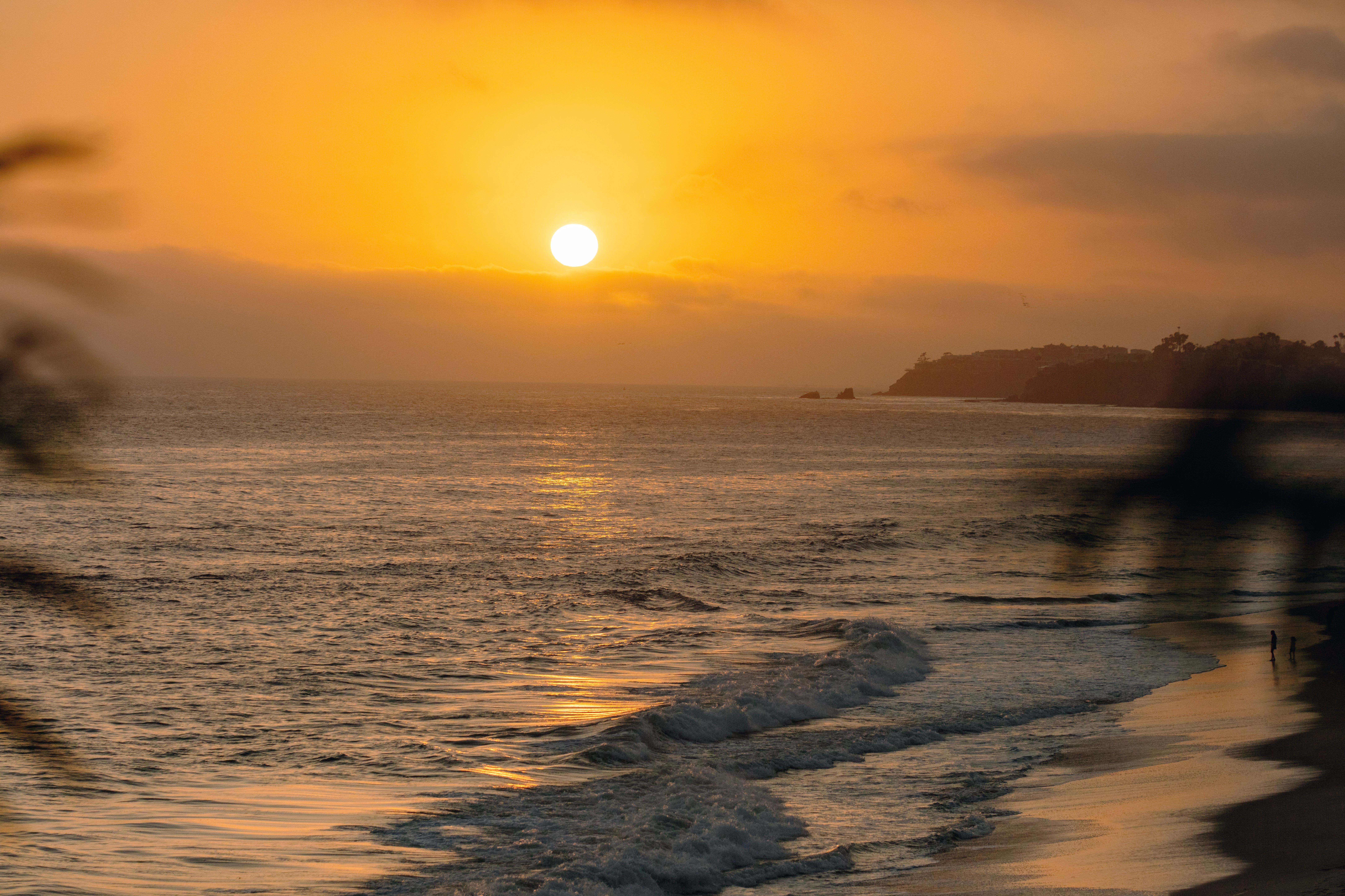 1585 South Coast Highway # 31