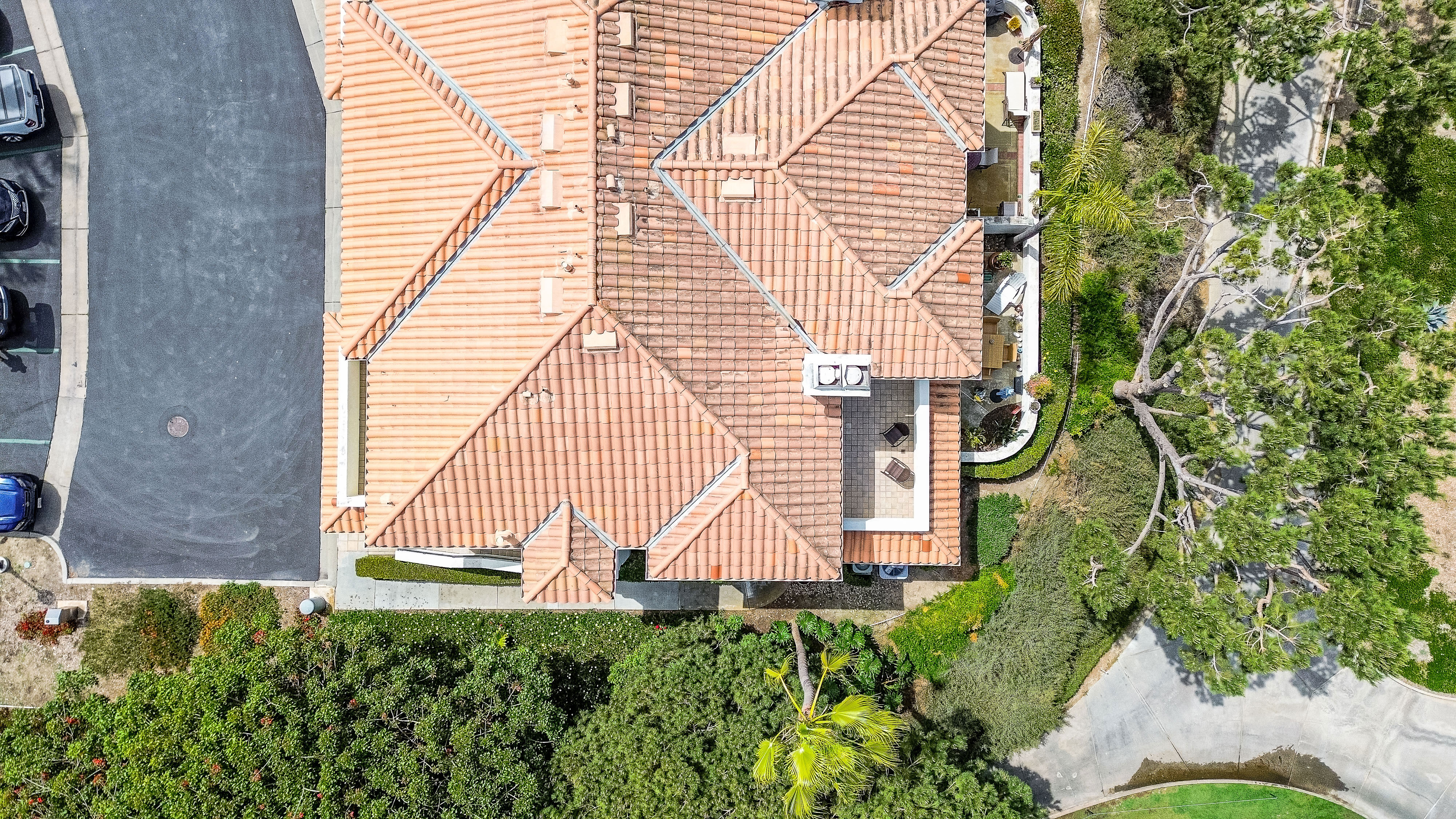 49 Wightman Court 