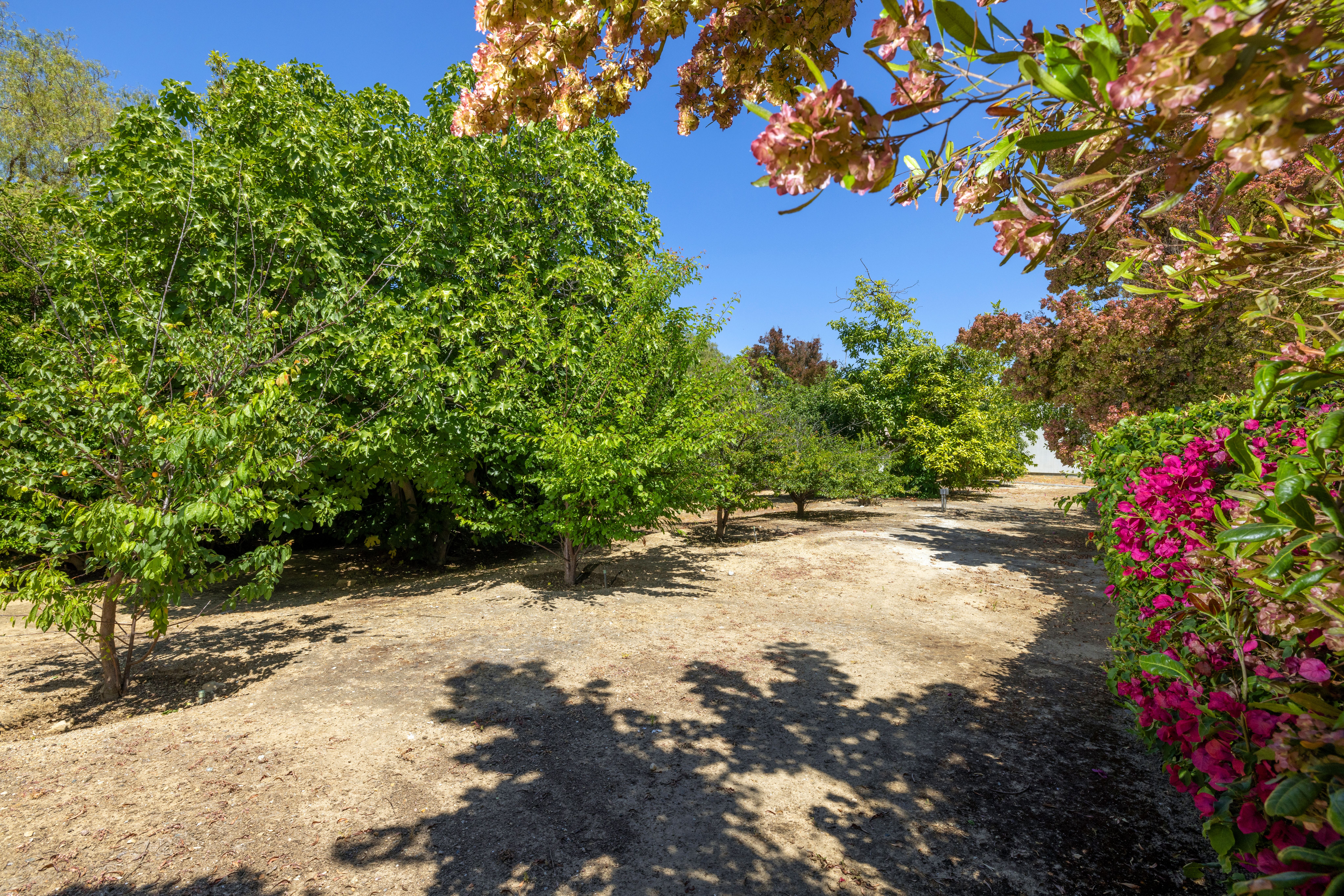 4090 Live Oak Lane 