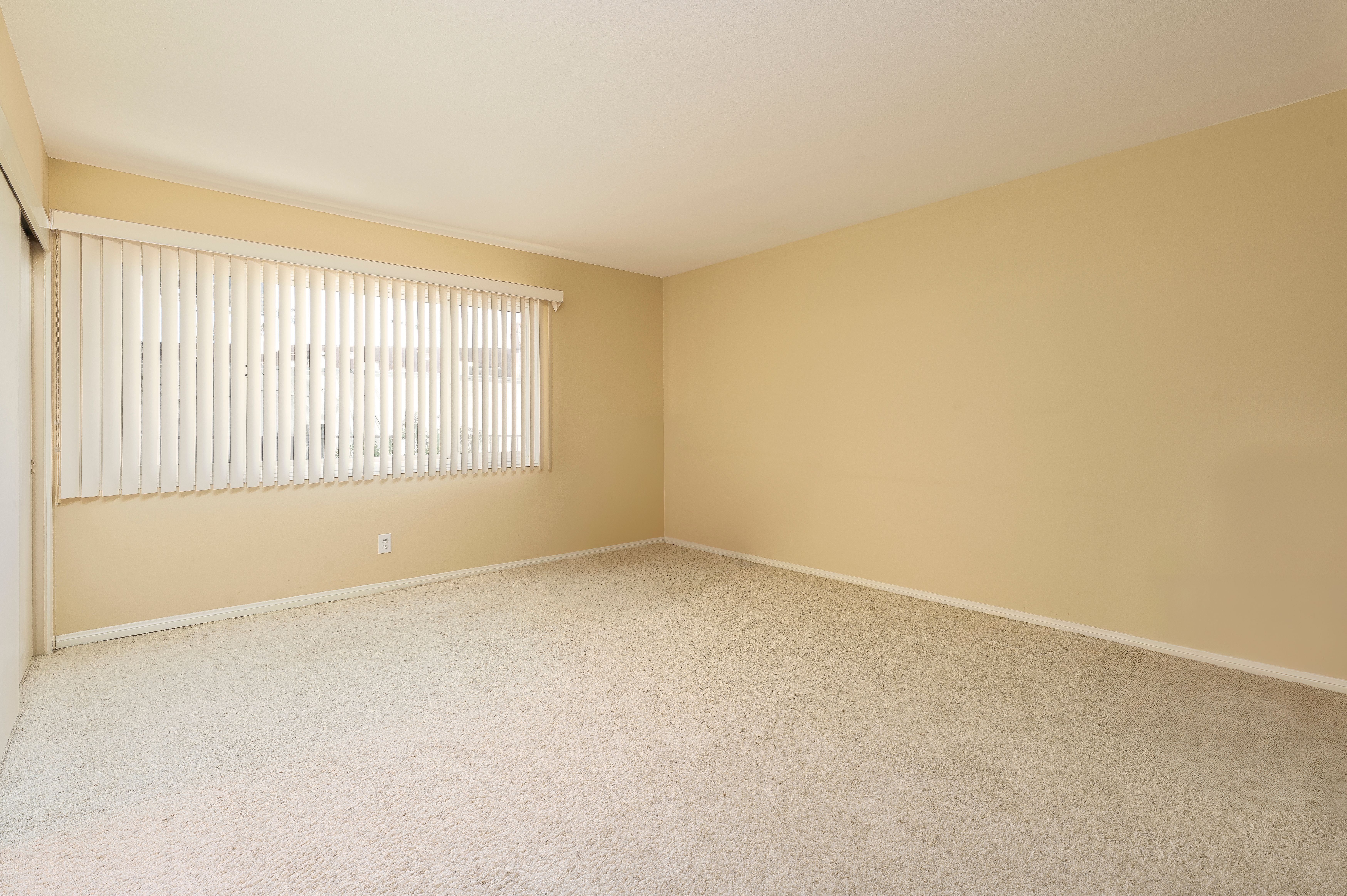 1217 Woodbury Drive 