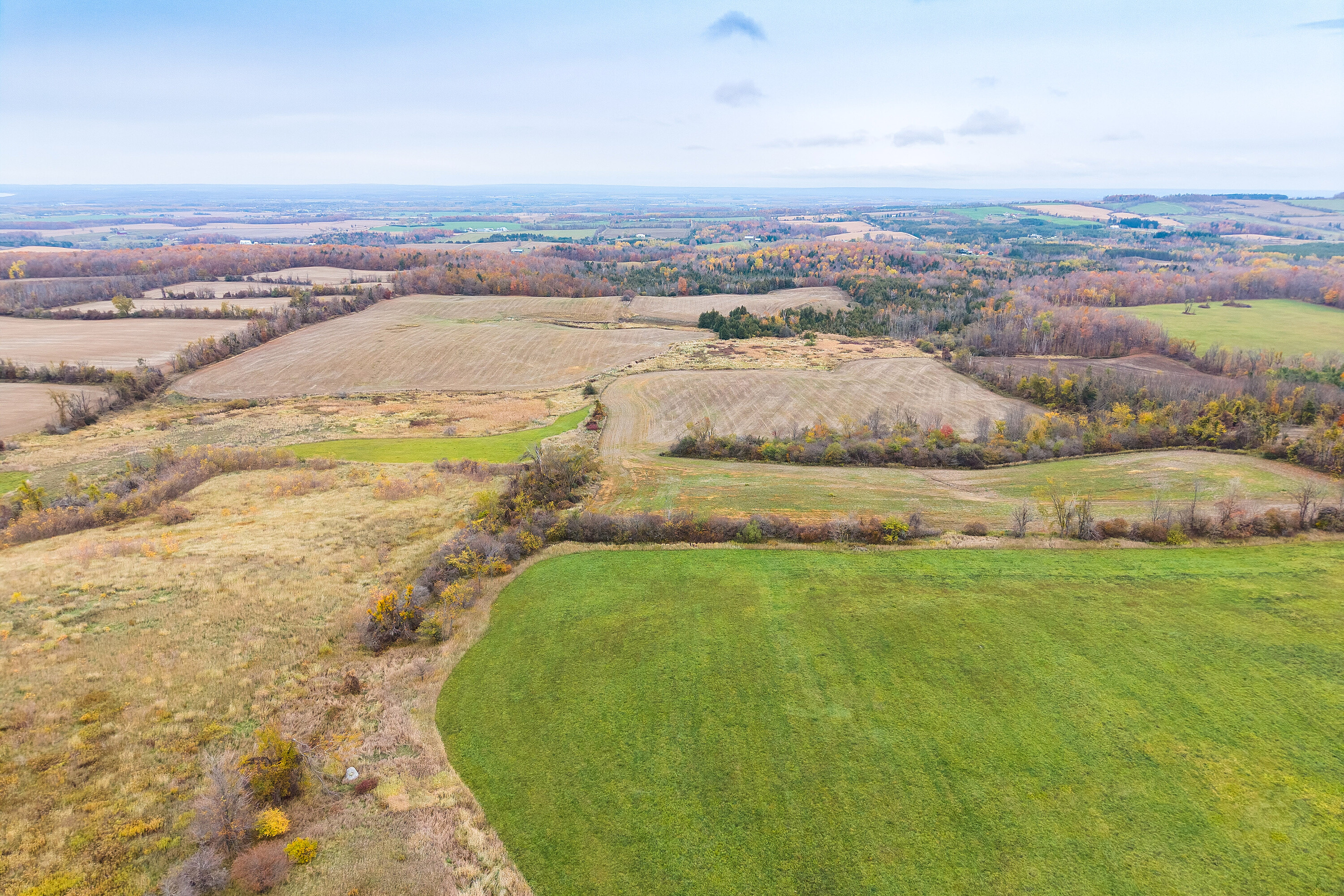 2205 County Road 124