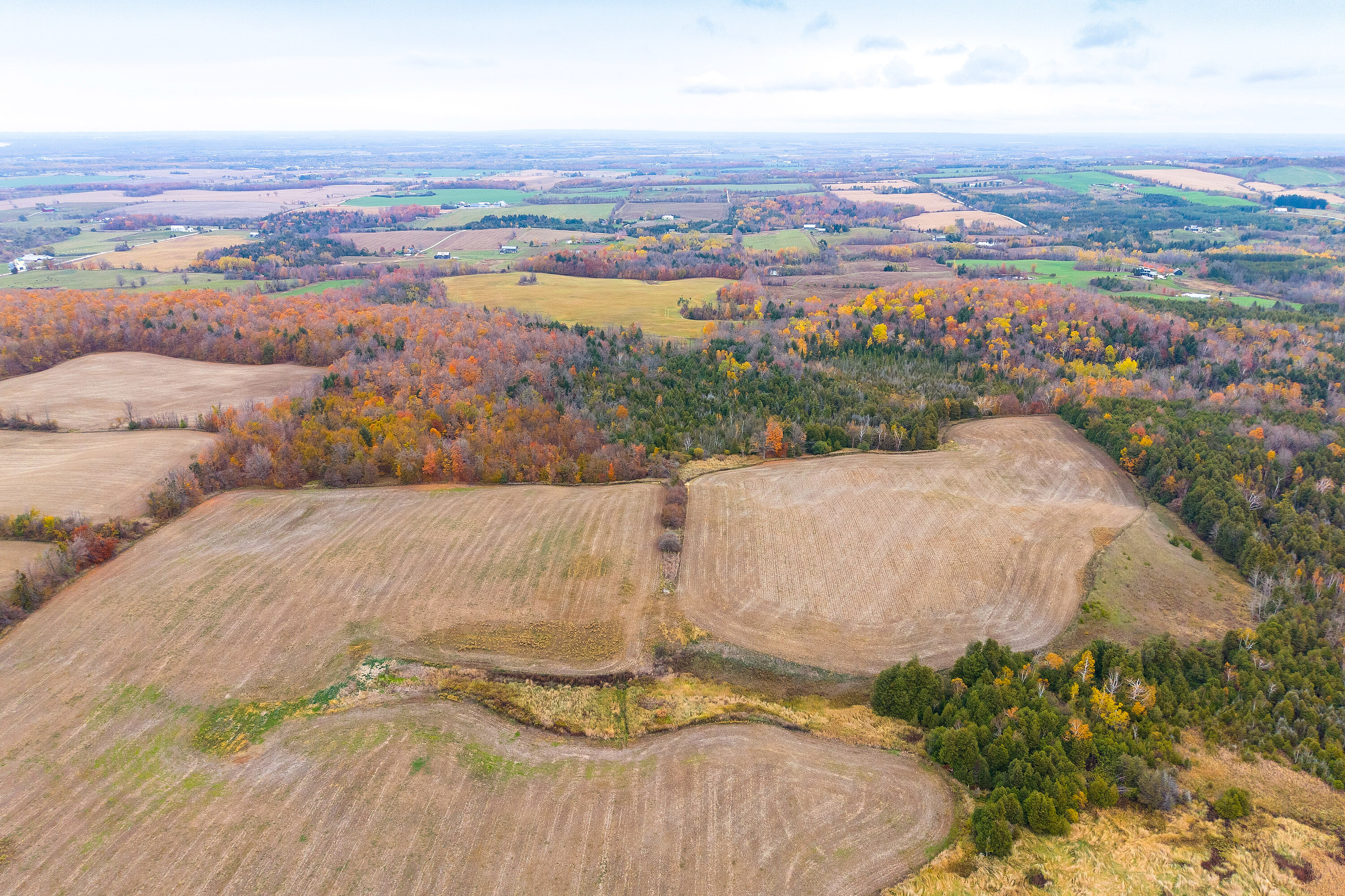 2205 County Road 124