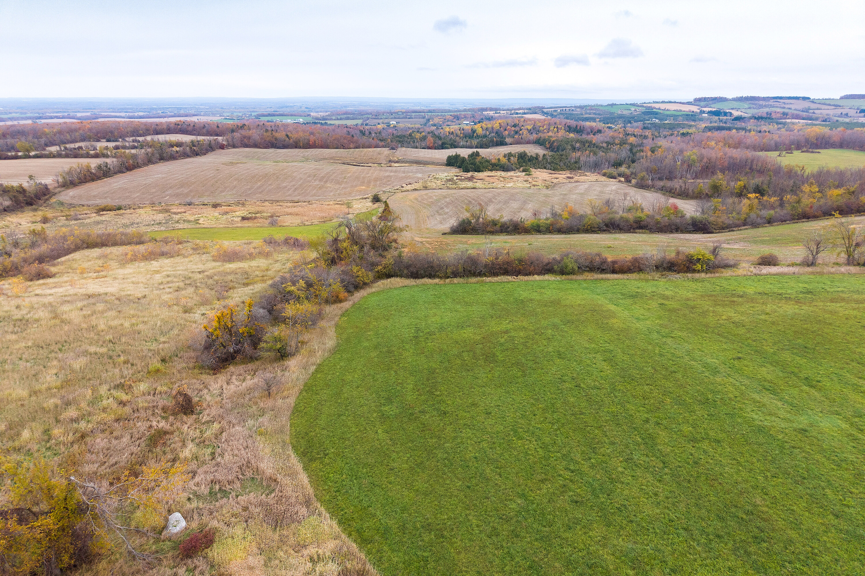 2205 County Road 124