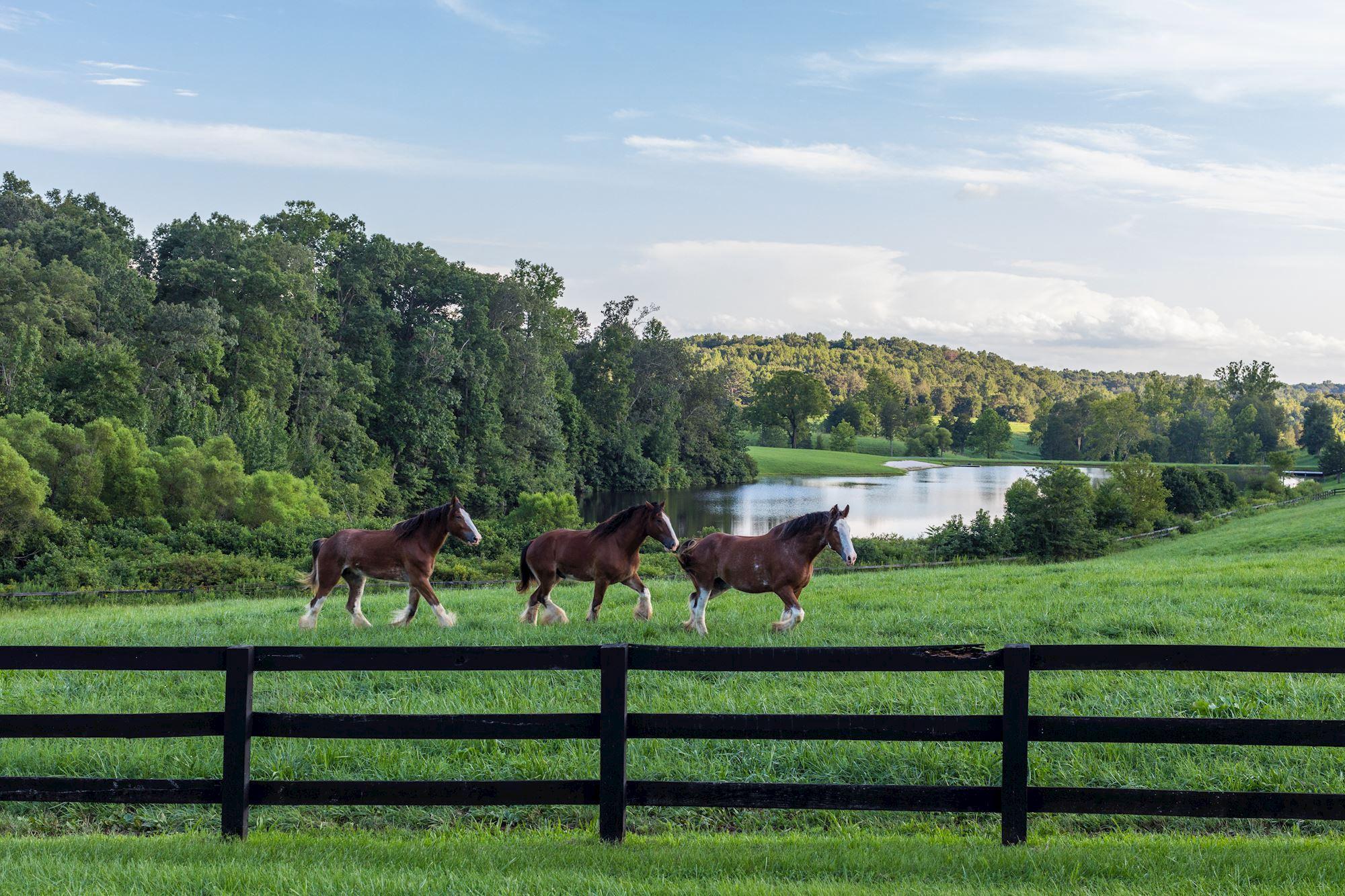 510 Mount Pleasant Farm Road, Scottsville, VA