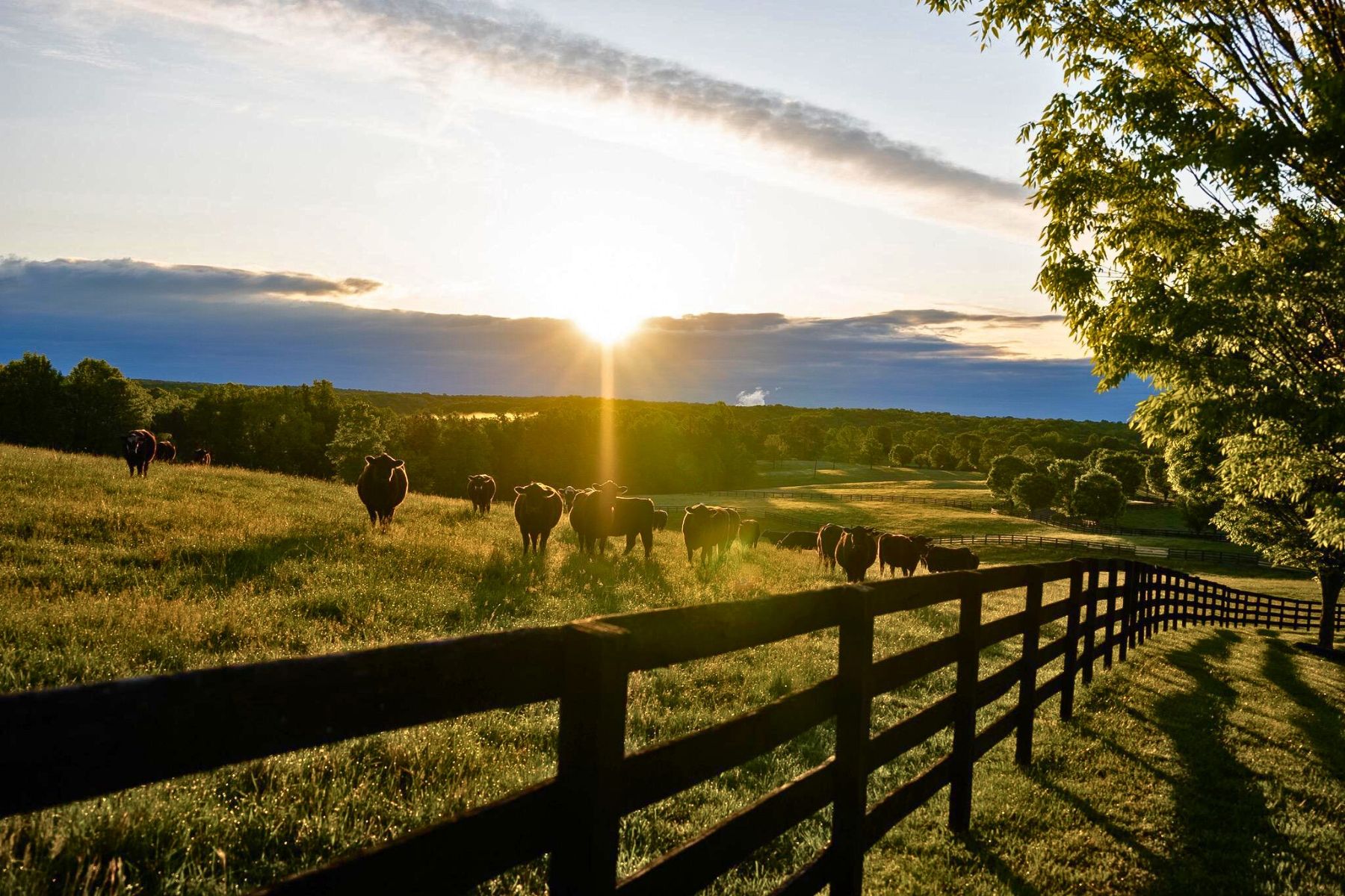 510 Mount Pleasant Farm Road, Scottsville, VA