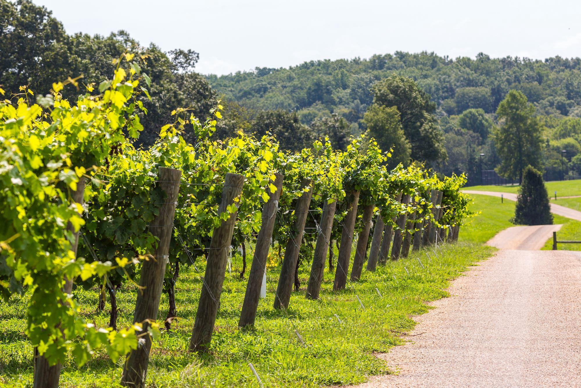 510 Mount Pleasant Farm Road, Scottsville, VA