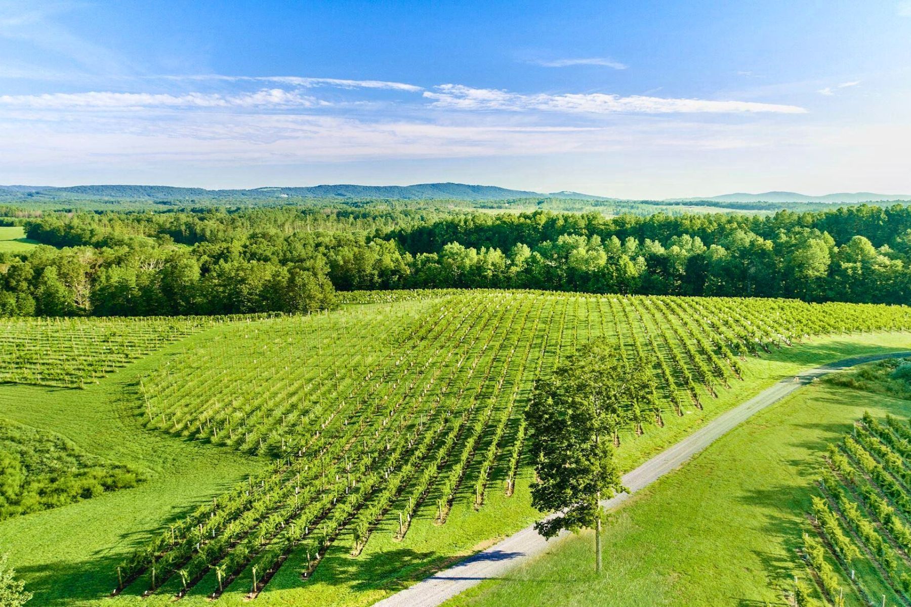 510 Mount Pleasant Farm Road, Scottsville, VA