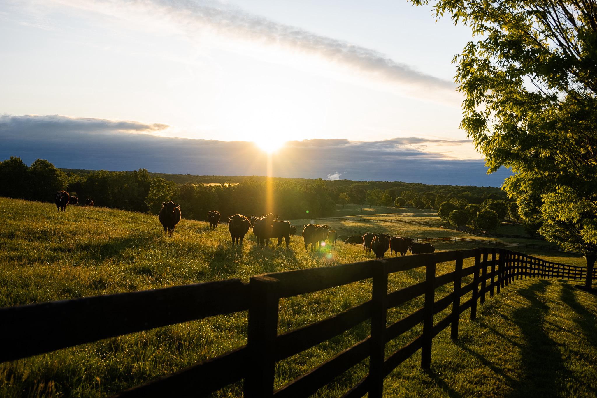 6887 Blenheim Road, Scottsville, VA