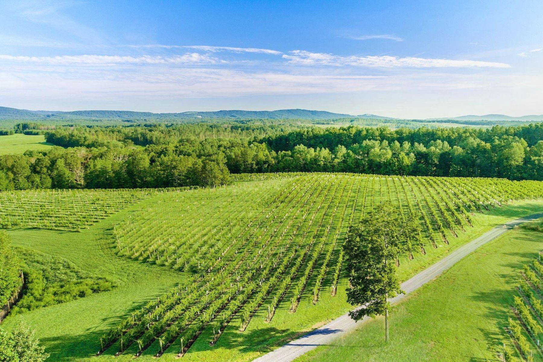 6887 Blenheim Road, Scottsville, VA