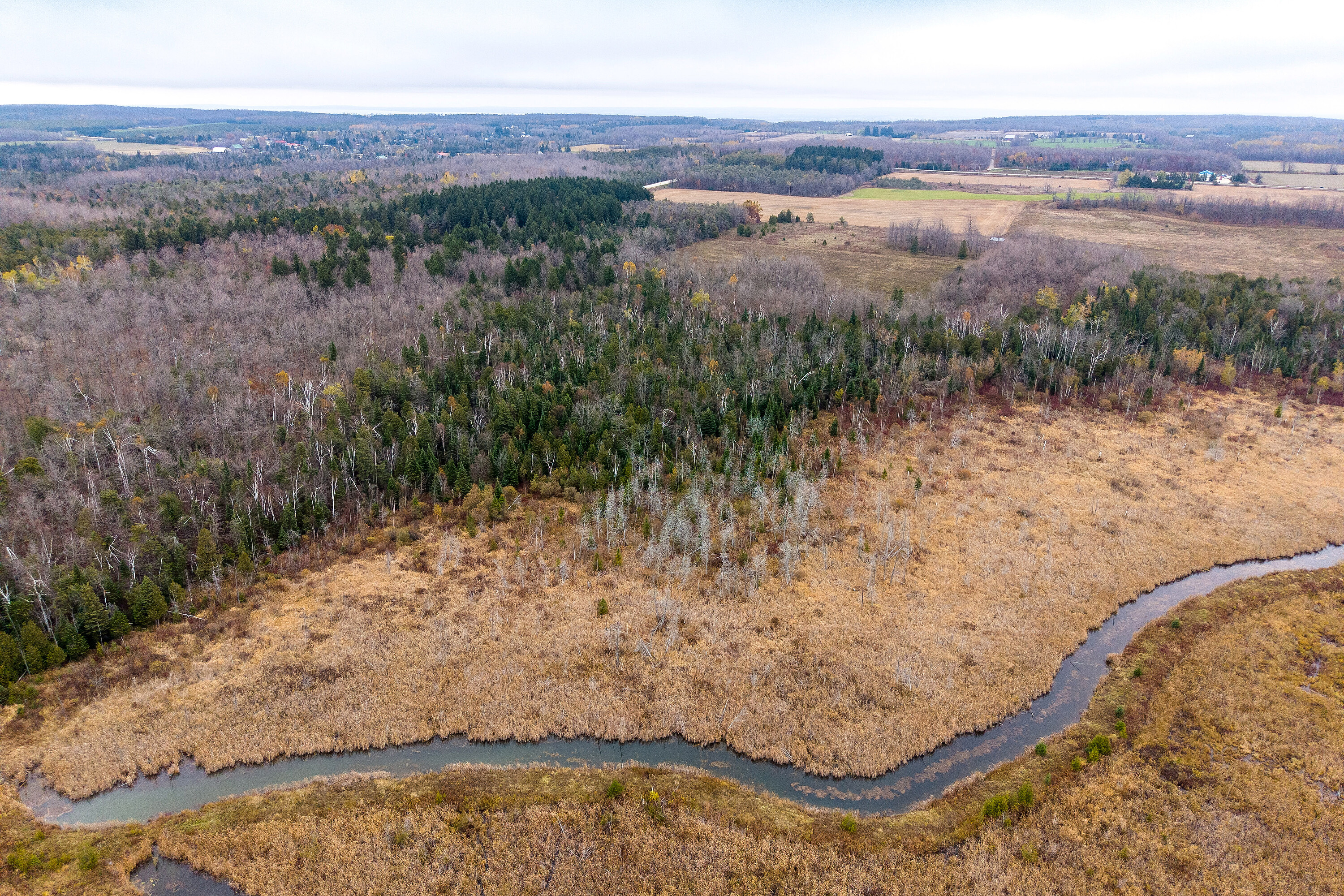 793958 Grey Road 124