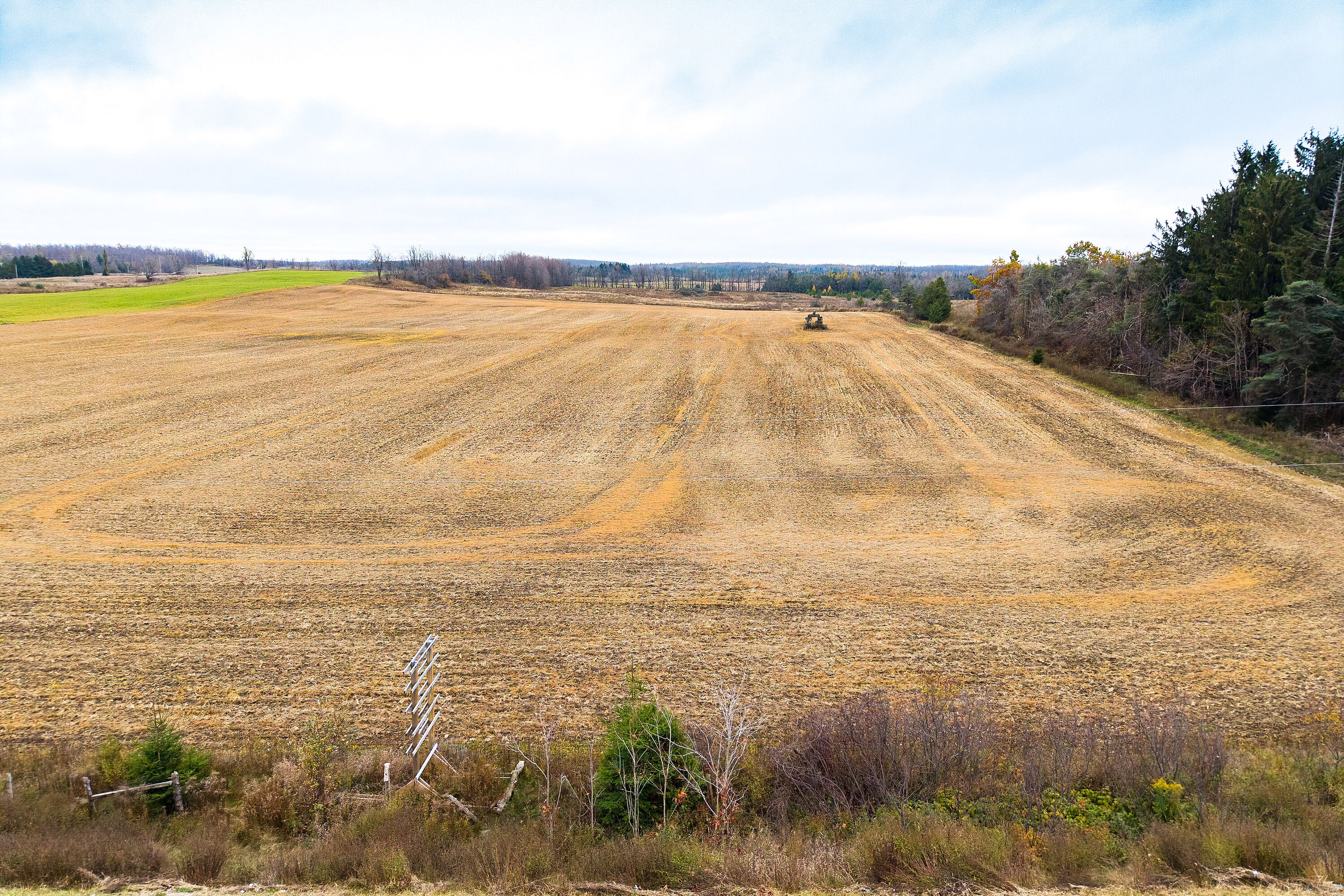 793958 Grey Road 124