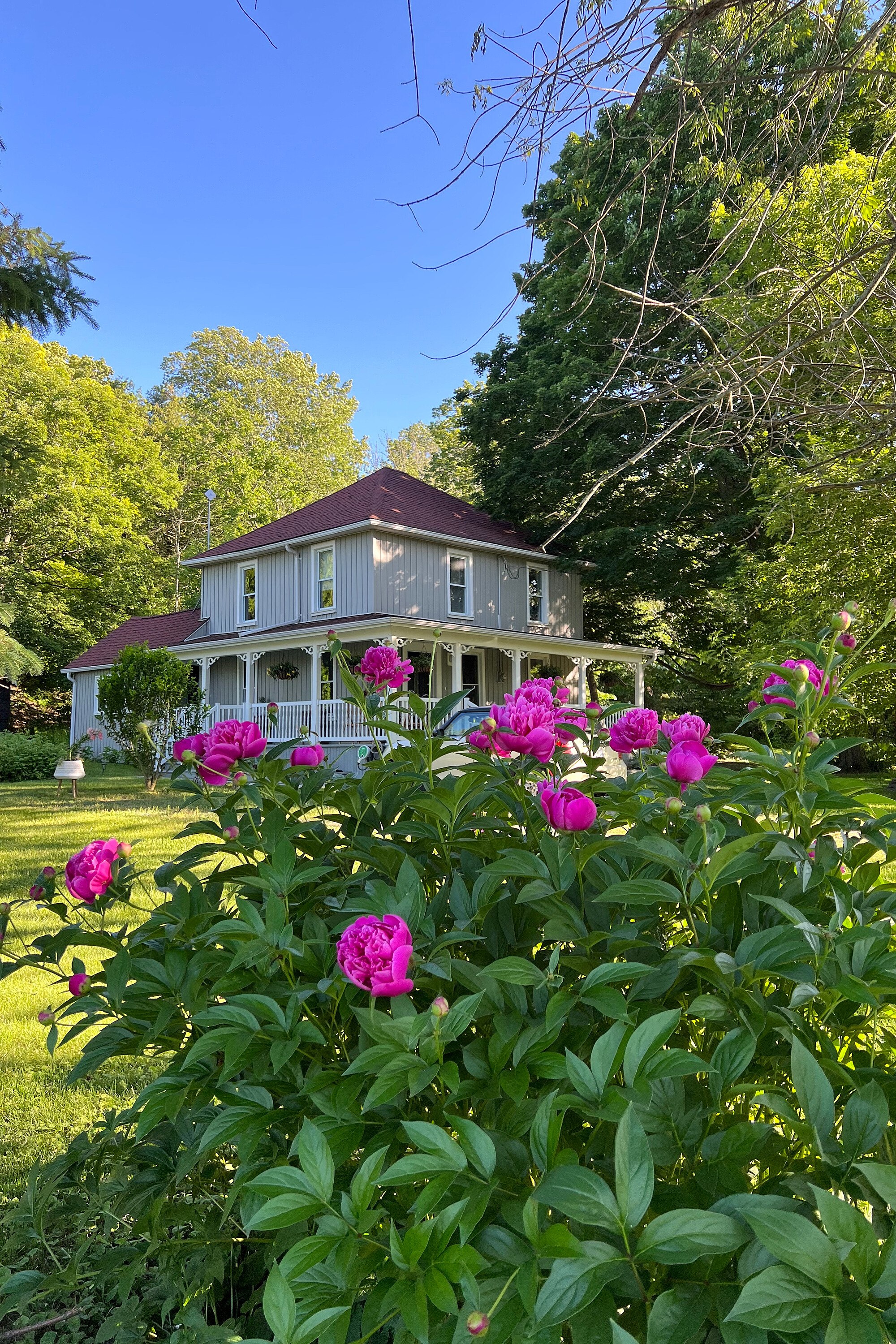 3050 County Road 7