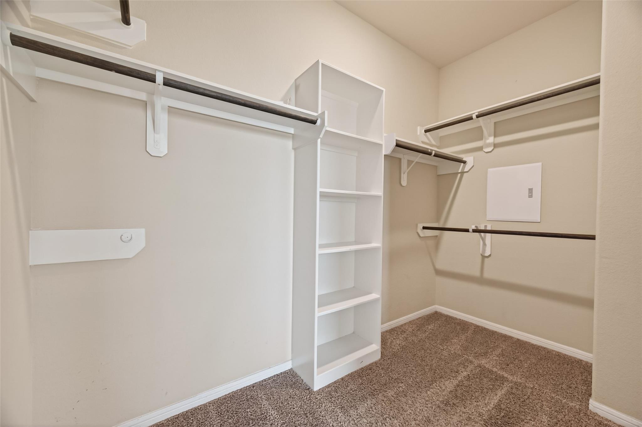 3703 Daintree Park Drive