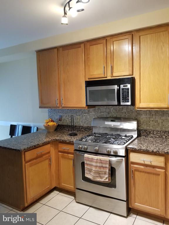 1587 LEEDS CASTLE DR #102,FAIRFAX Unit: 102