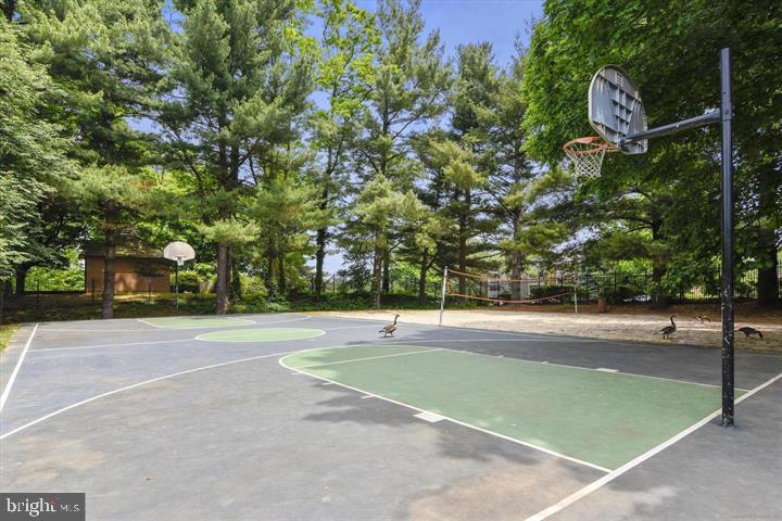 8370 GREENSBORO DRIVE Unit: 908
