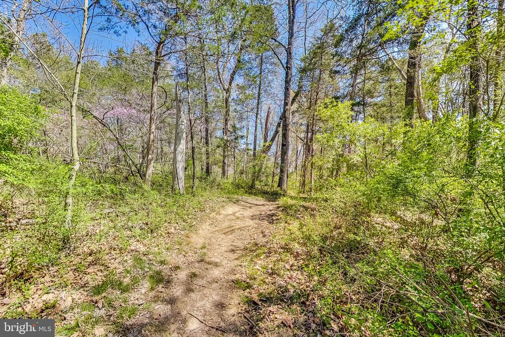 23473 BELVOIR WOODS TER,LOUDOUN