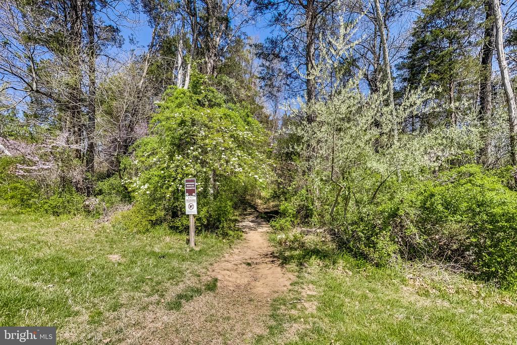 23473 BELVOIR WOODS TER,LOUDOUN