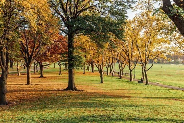 45 GAUTIER AVE Unit: 1