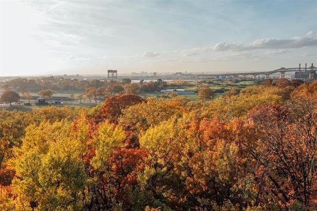 45 GAUTIER AVE Unit: 1