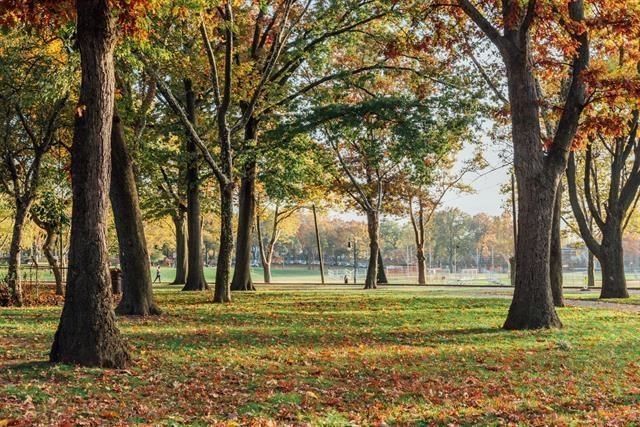 45 GAUTIER AVE Unit: 1