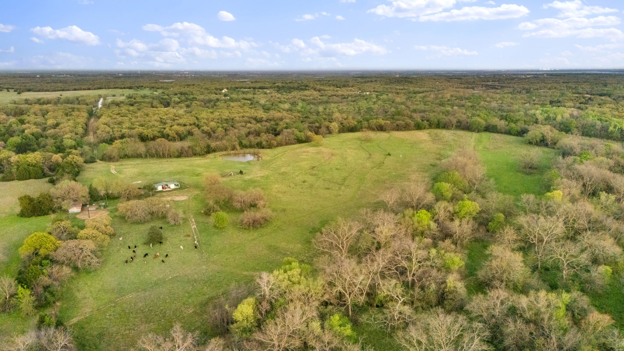 3647 County Road 265