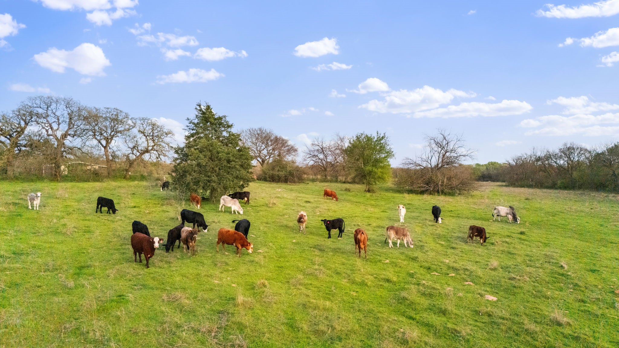 3647 County Road 265