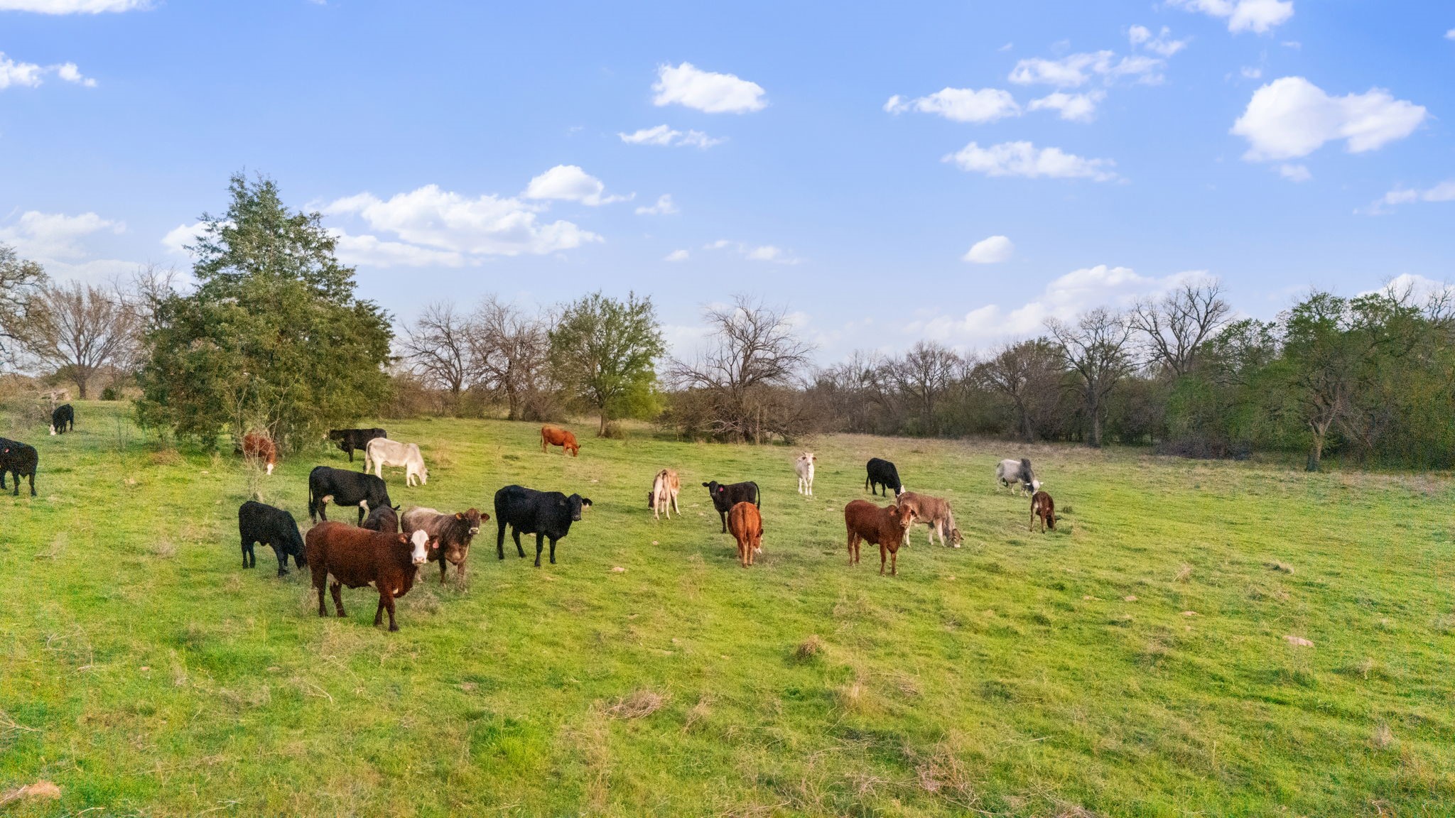 3647 County Road 265
