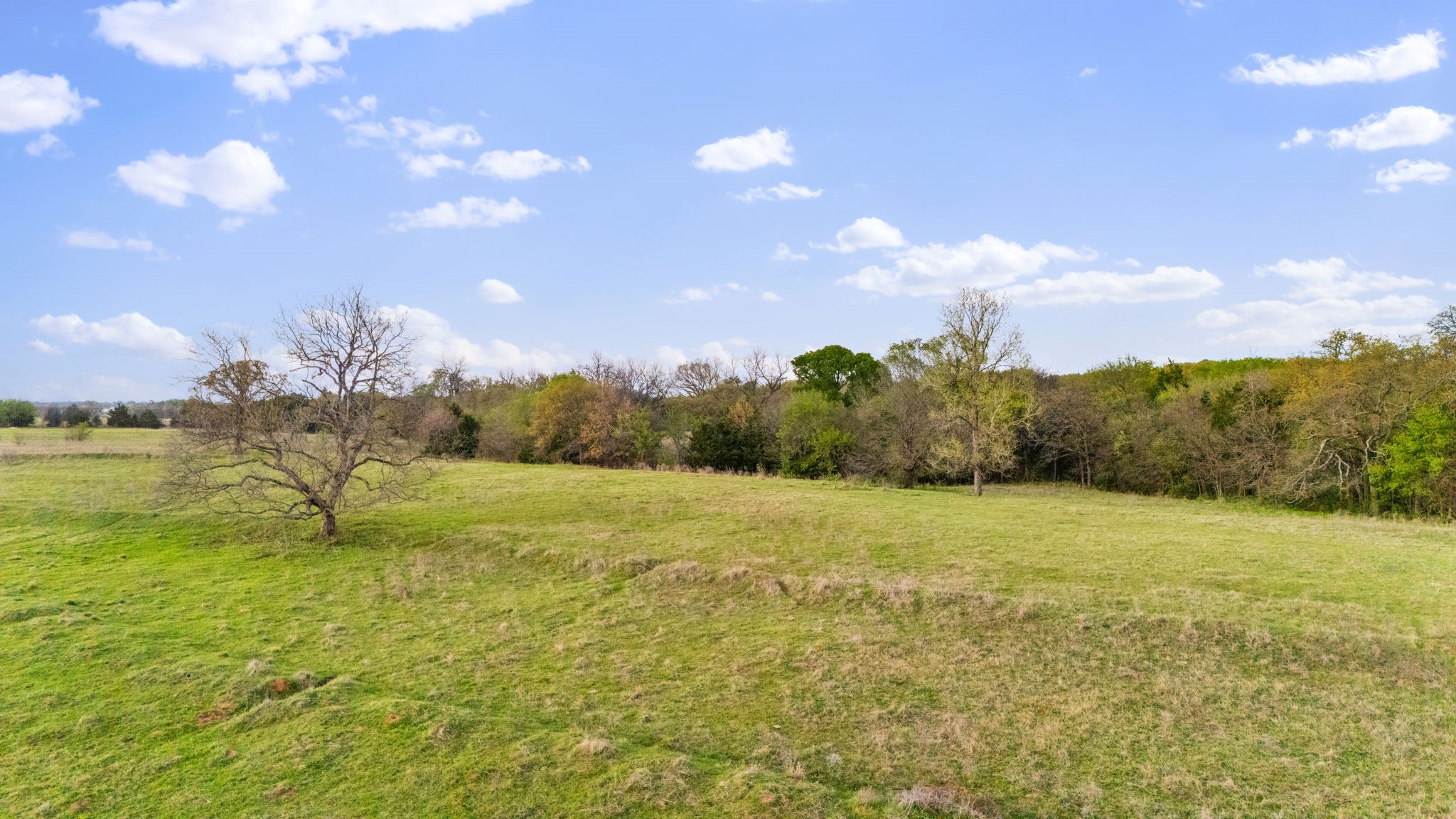3647 County Road 265
