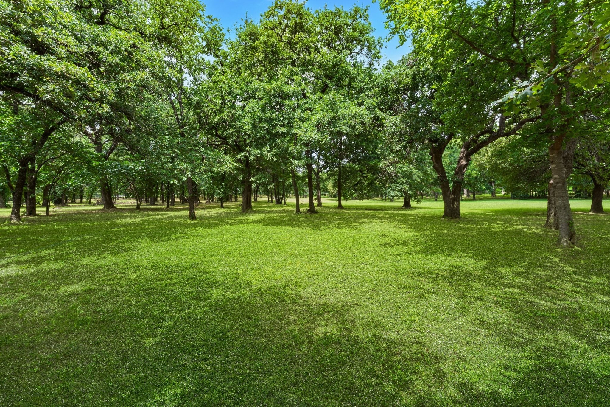 233 Hickory Ridge Court