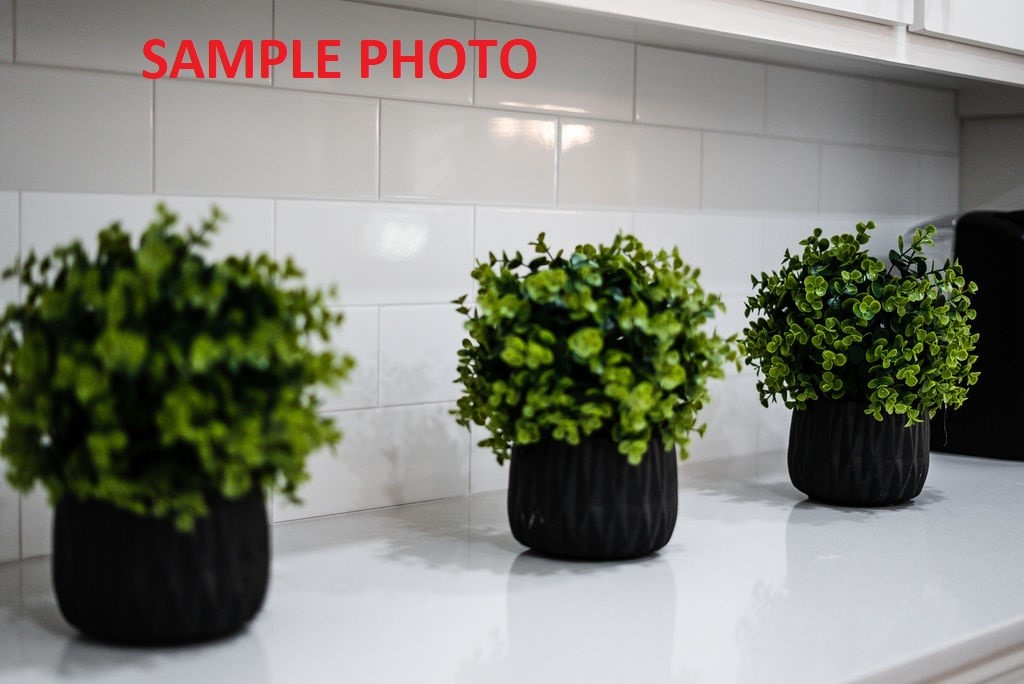 3809 SW Pecan Circle