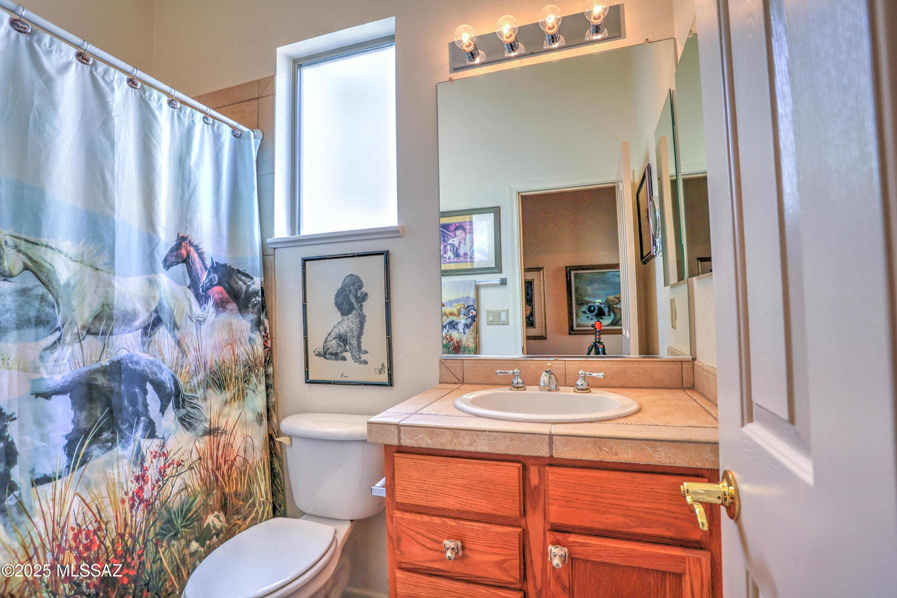 2303 E Desert Pueblo Pass