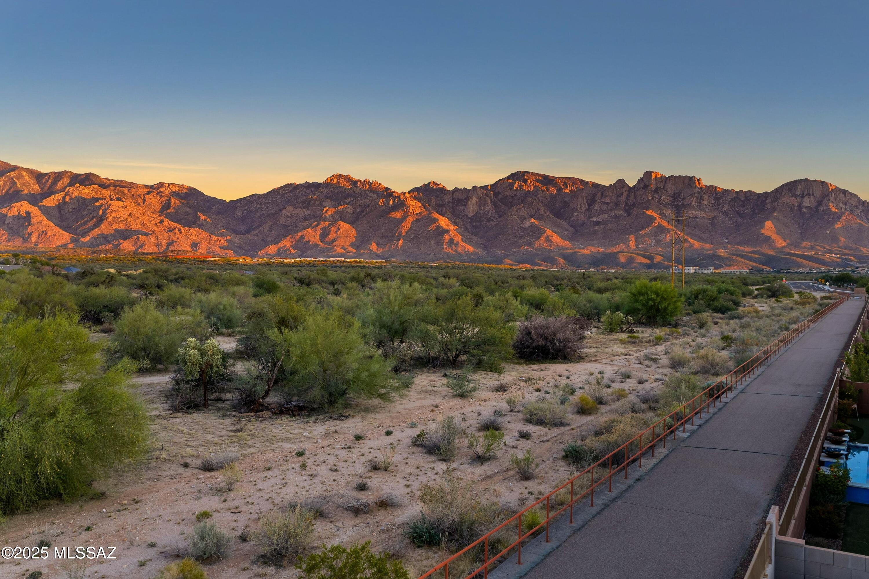 13320 N Cape Marigold Drive