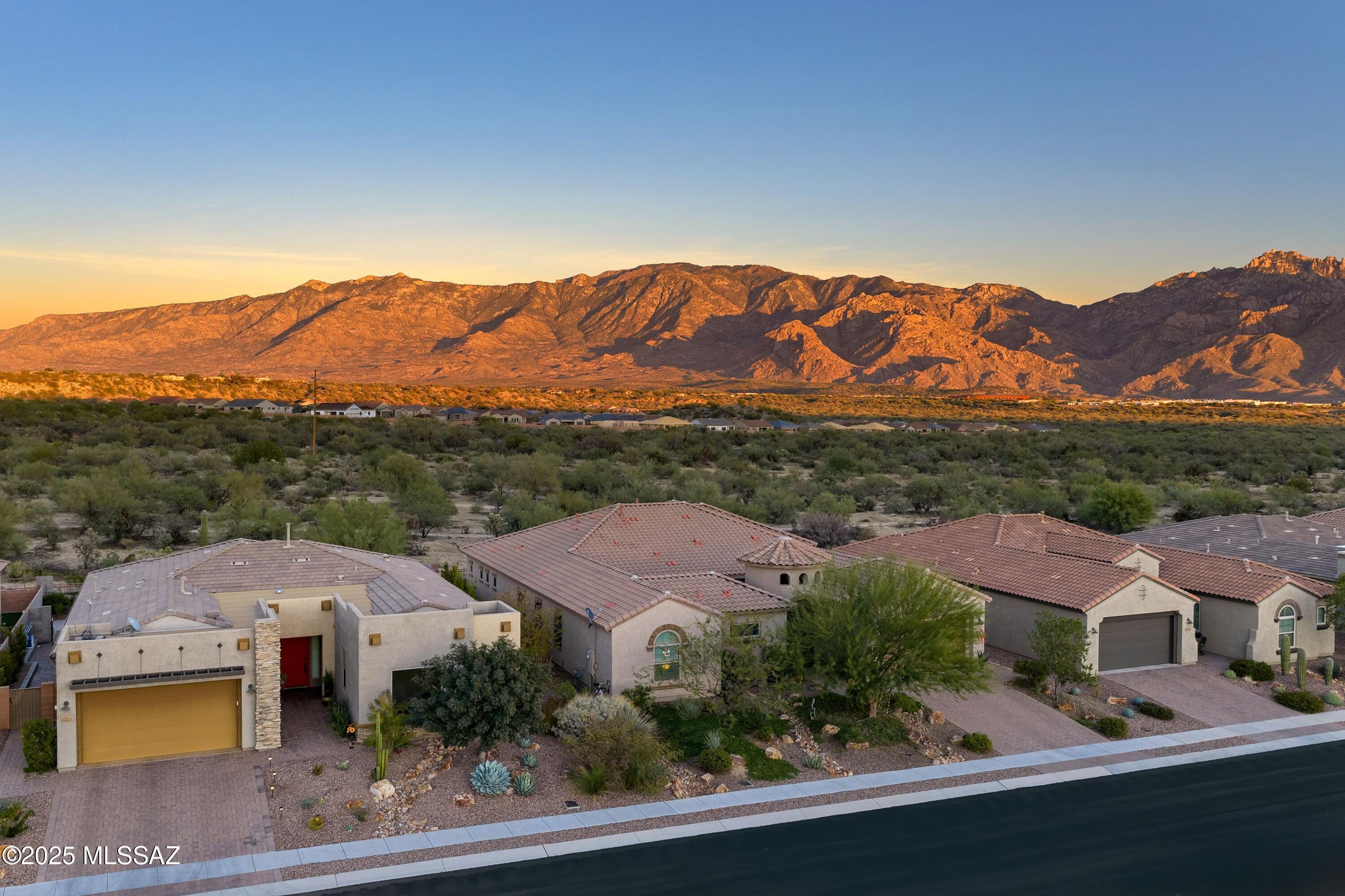 13320 N Cape Marigold Drive