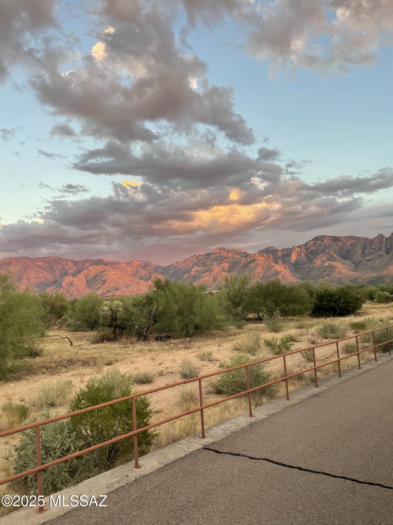 13320 N Cape Marigold Drive