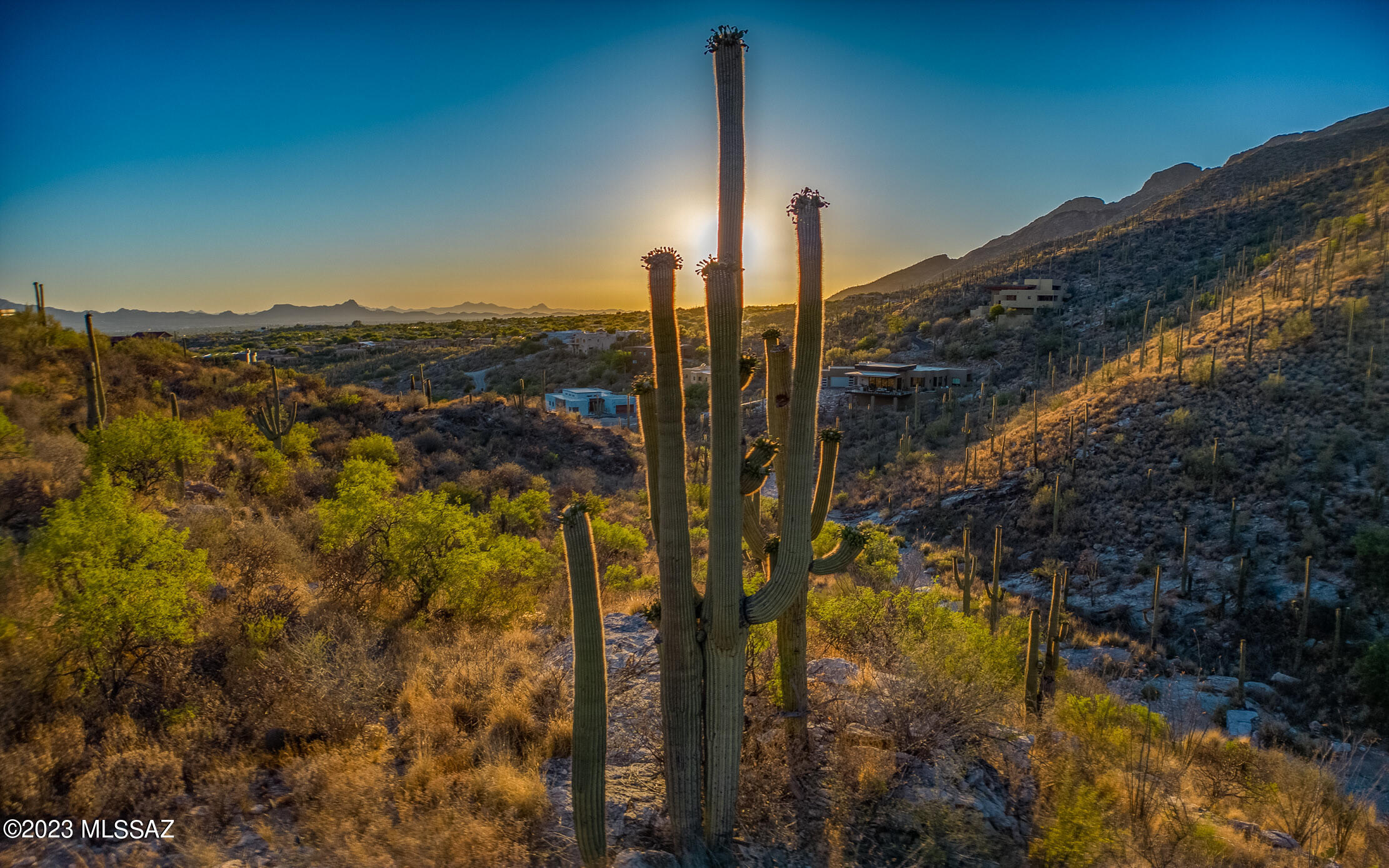 7582 N Camino Sin Vacas 65