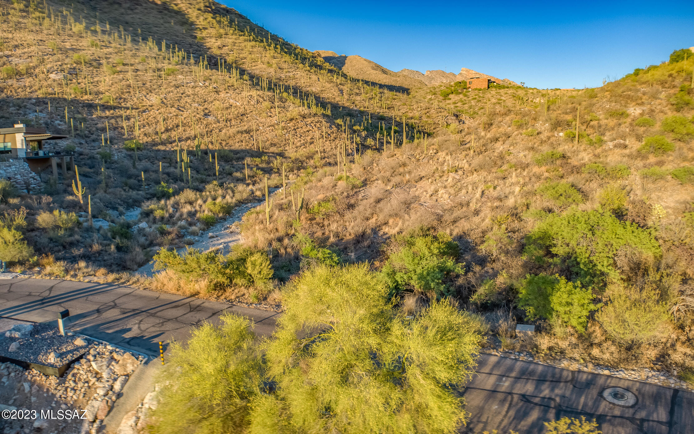 7582 N Camino Sin Vacas 65