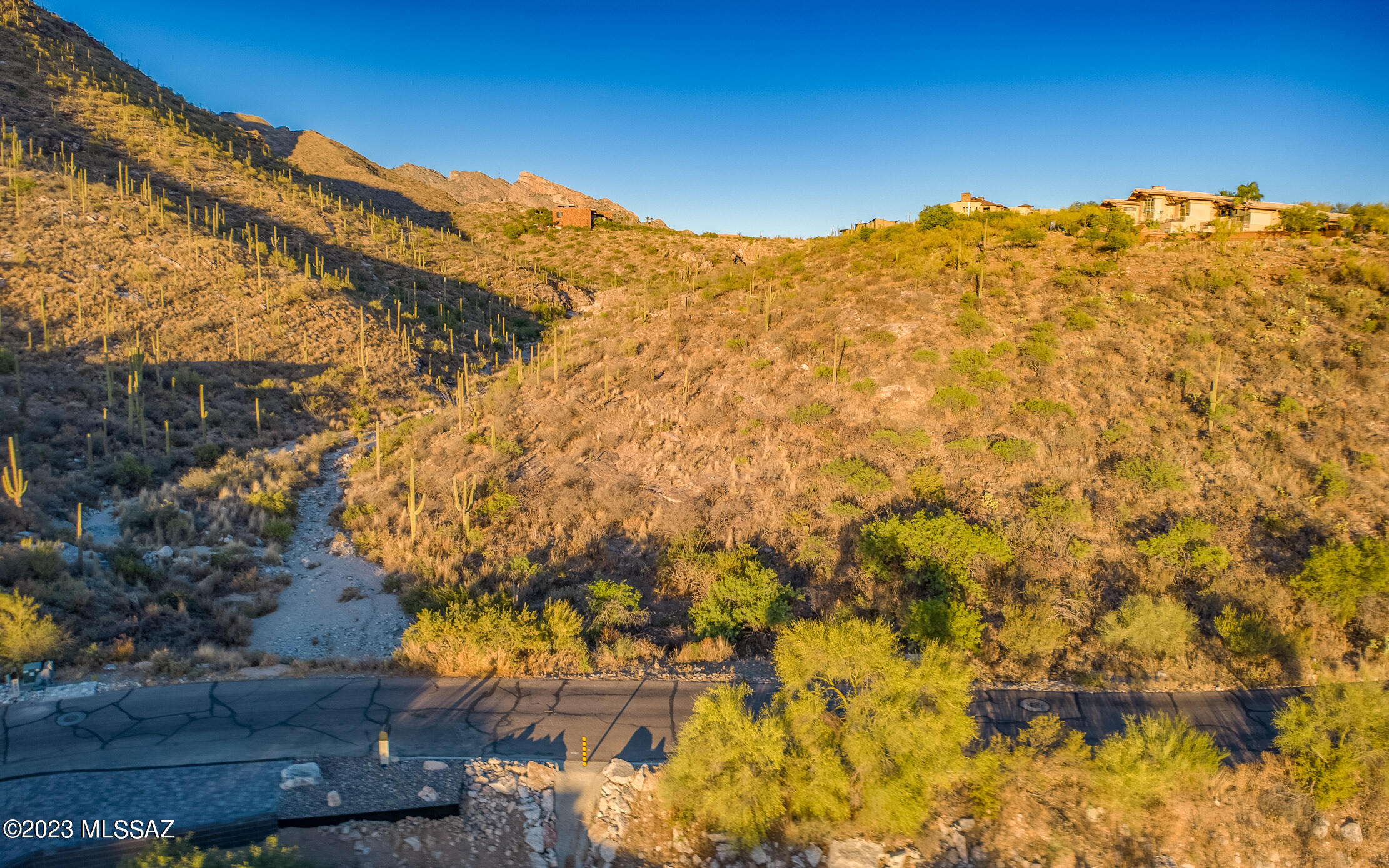 7582 N Camino Sin Vacas 65