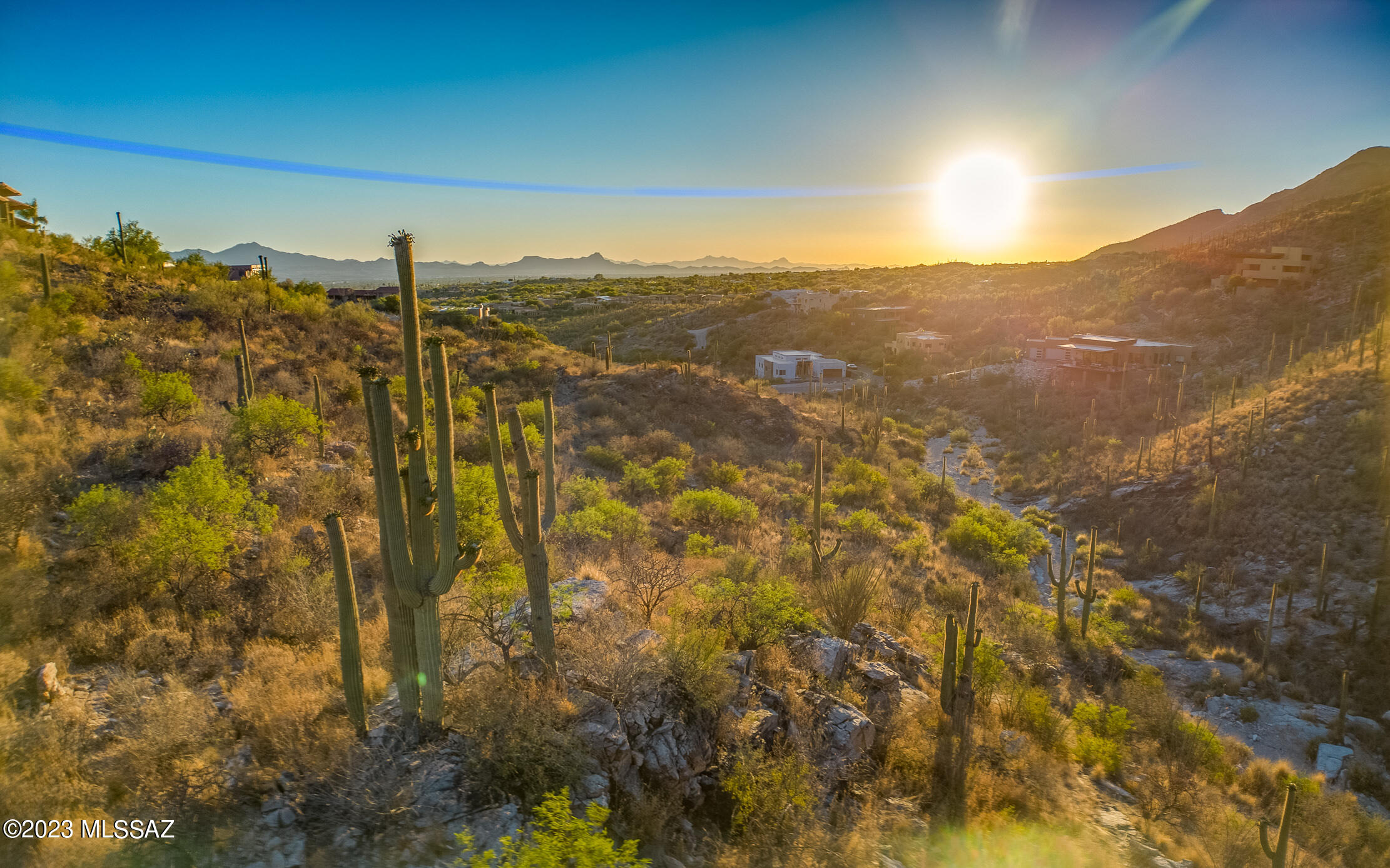 7582 N Camino Sin Vacas 65