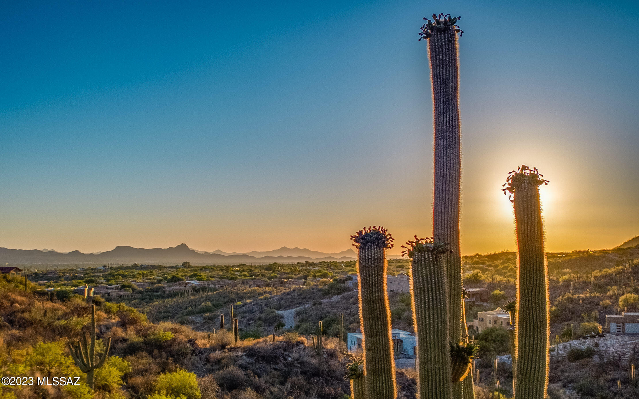 7582 N Camino Sin Vacas 65